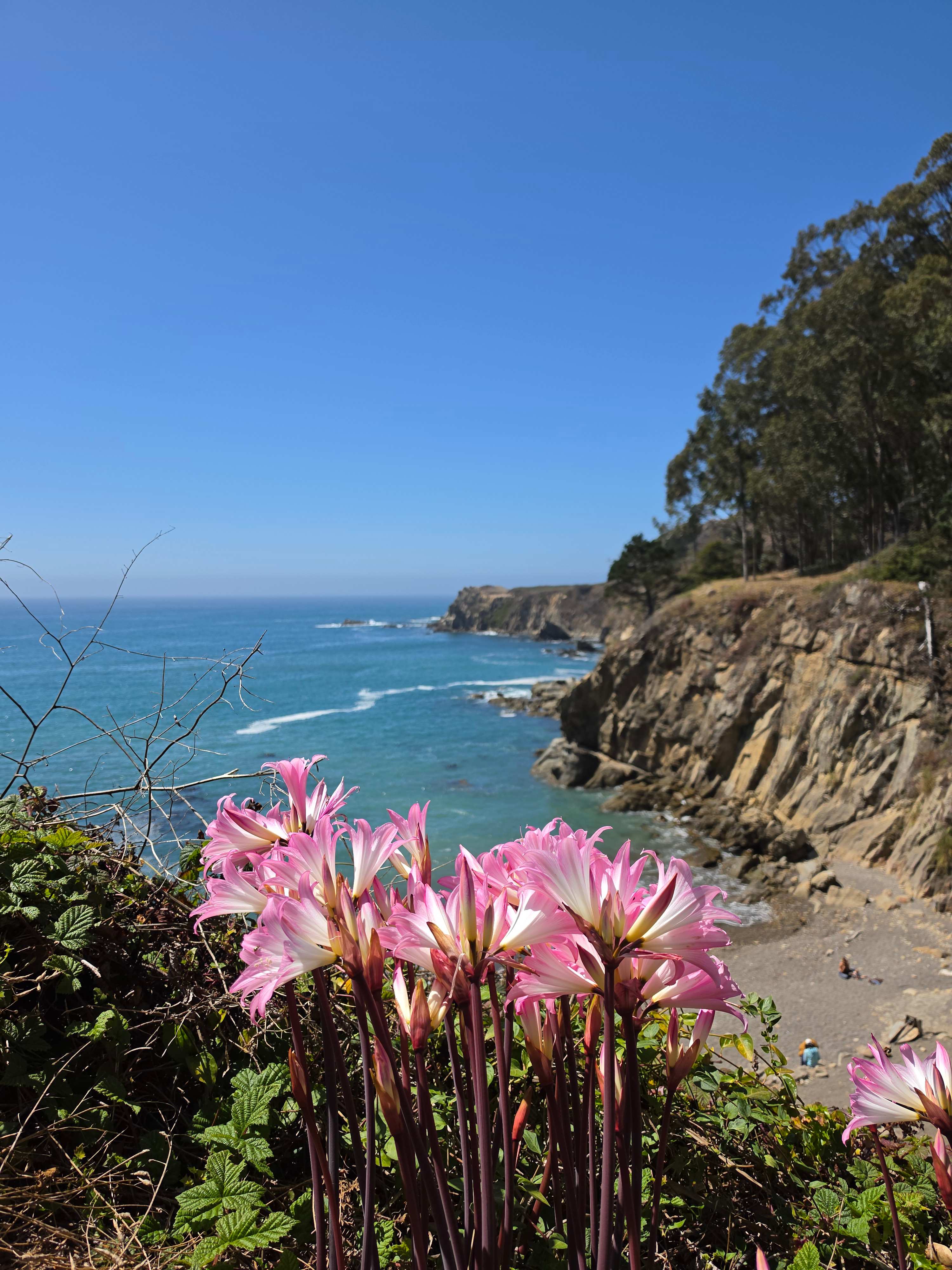 Timber Cove Campground