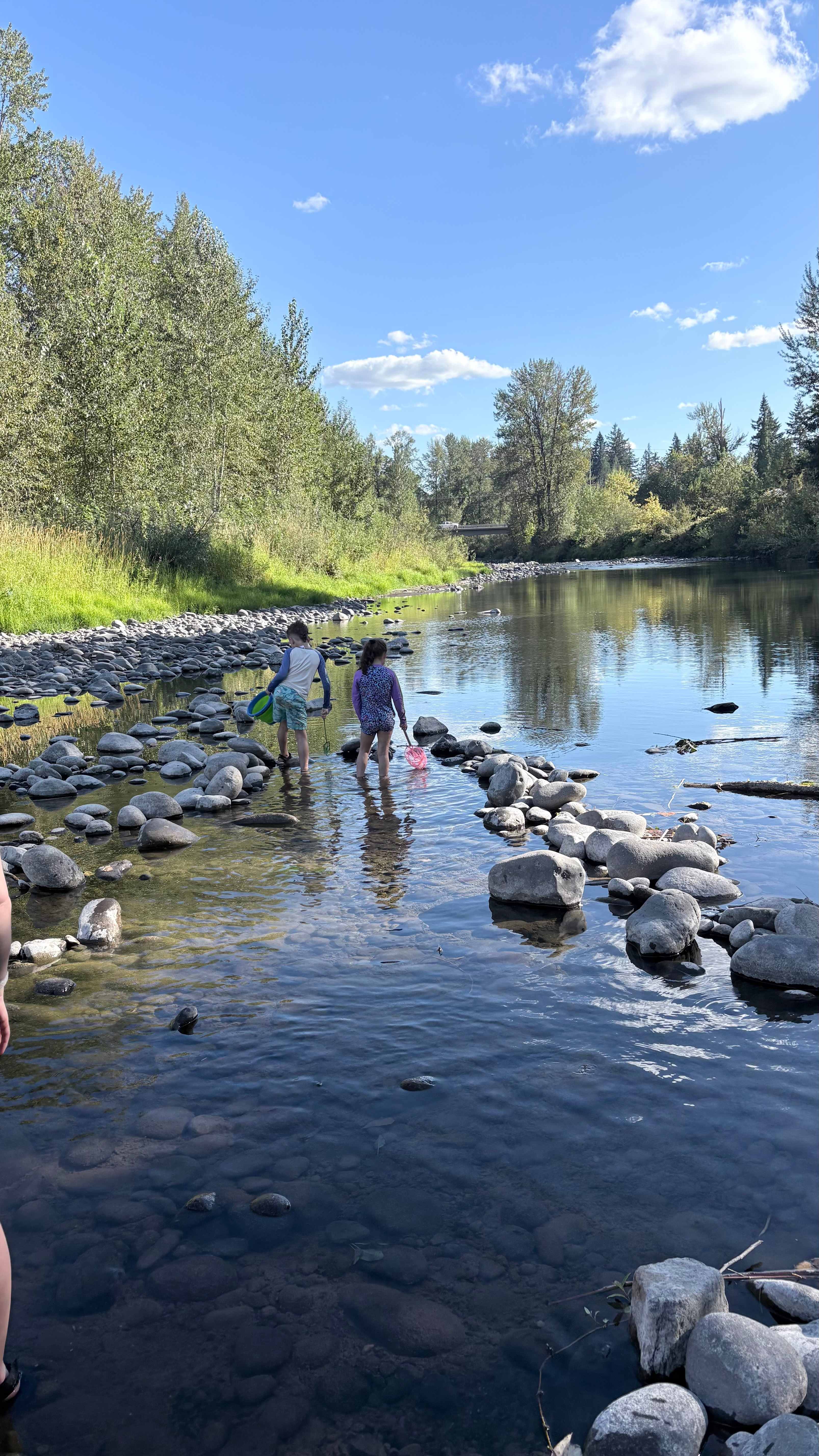 Molalla Ripple