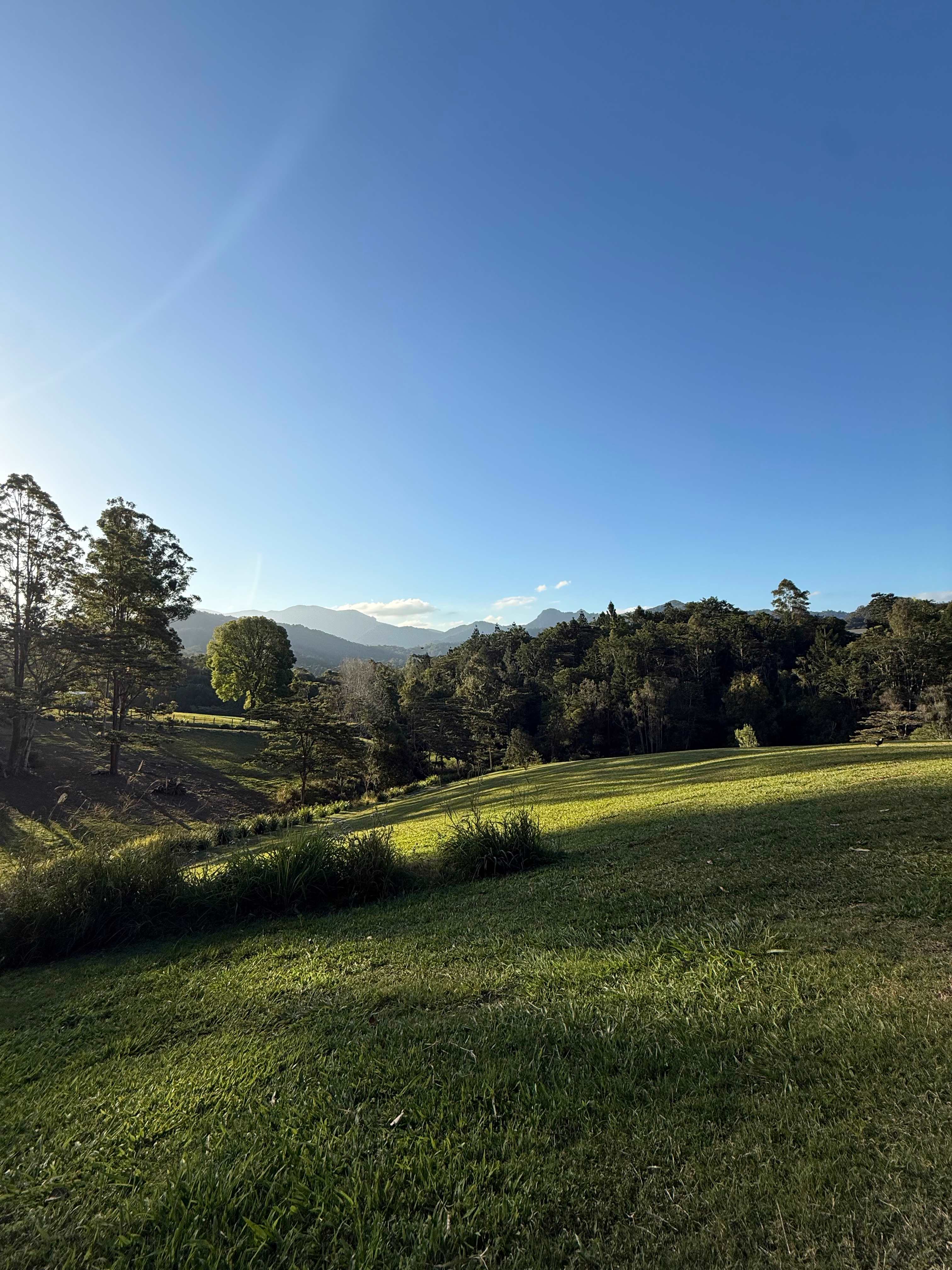 Sarah’s Farm🕊️ 4wd