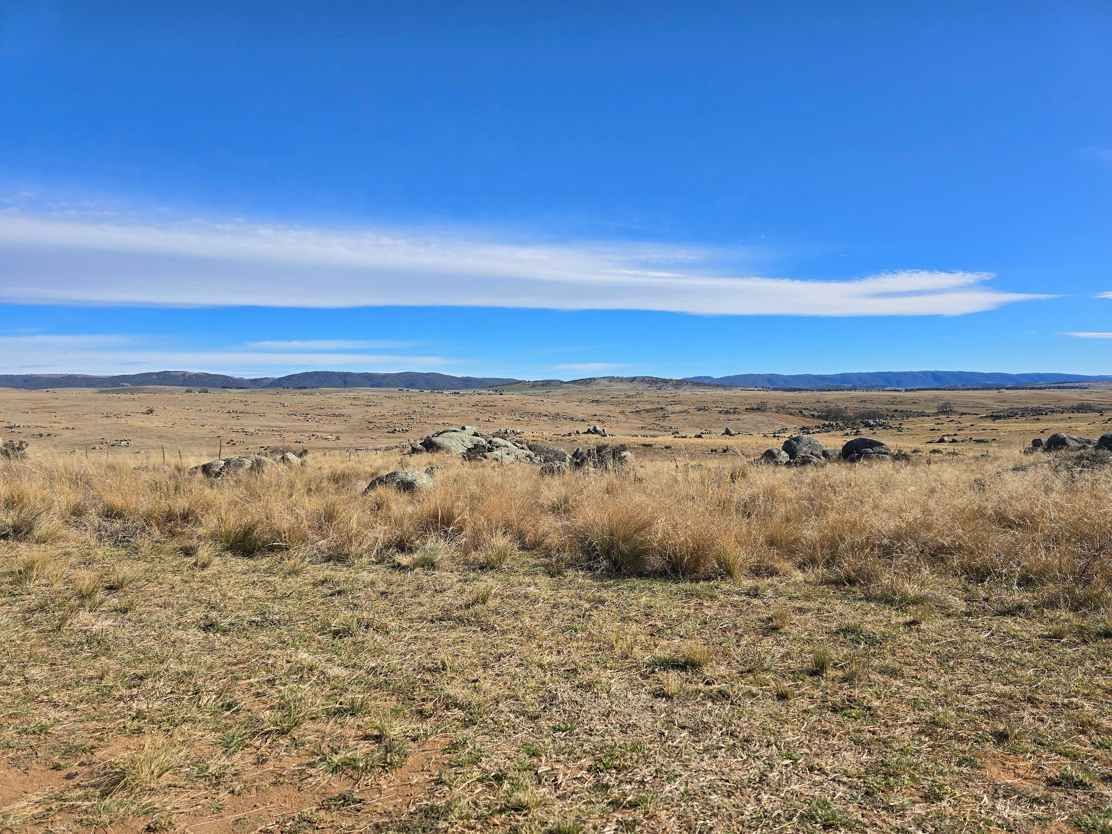 "Duck Downs" Snowy Mountains