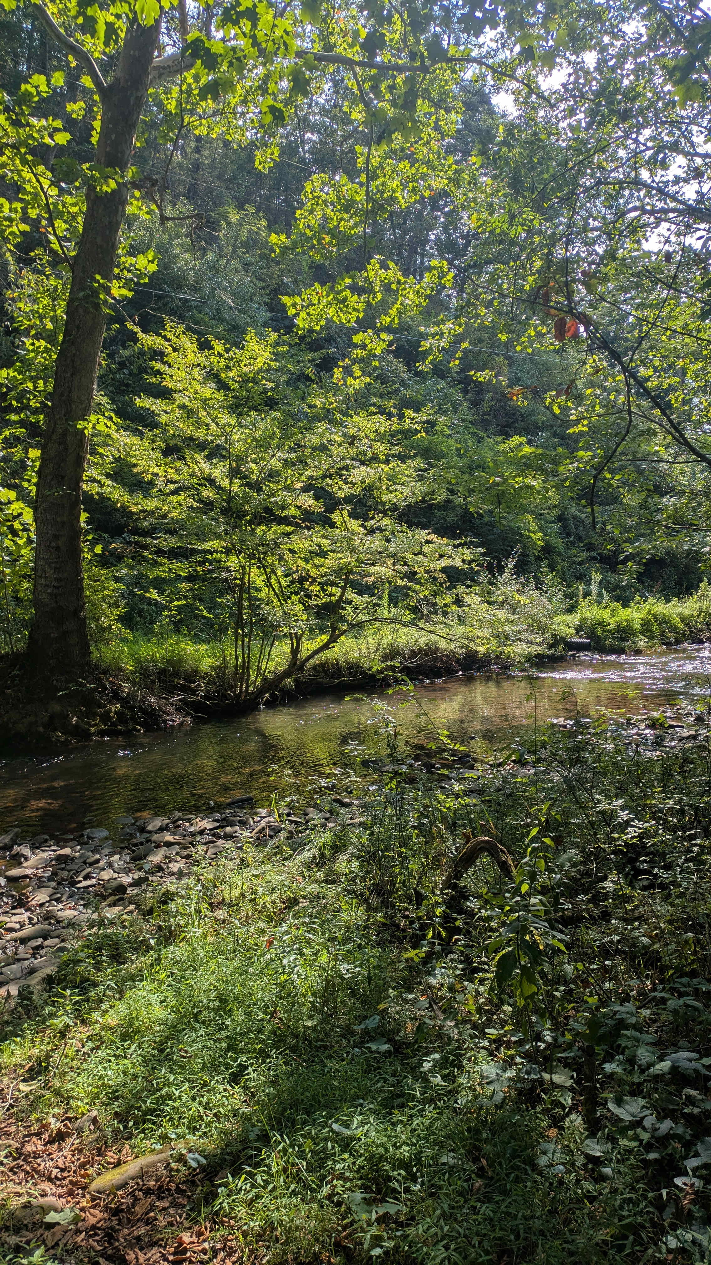 River Trail Hollow