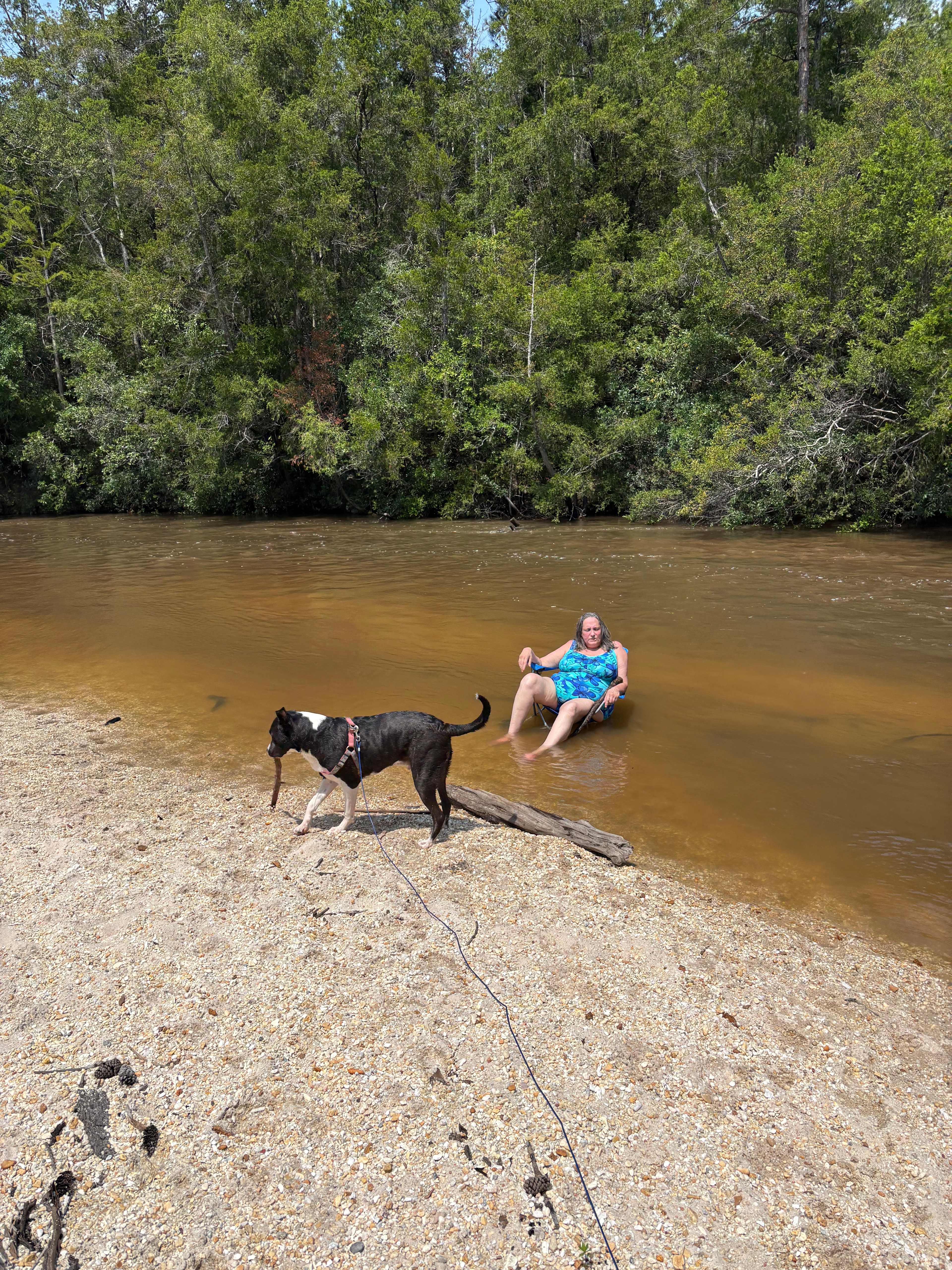 Relaxing in the river! 