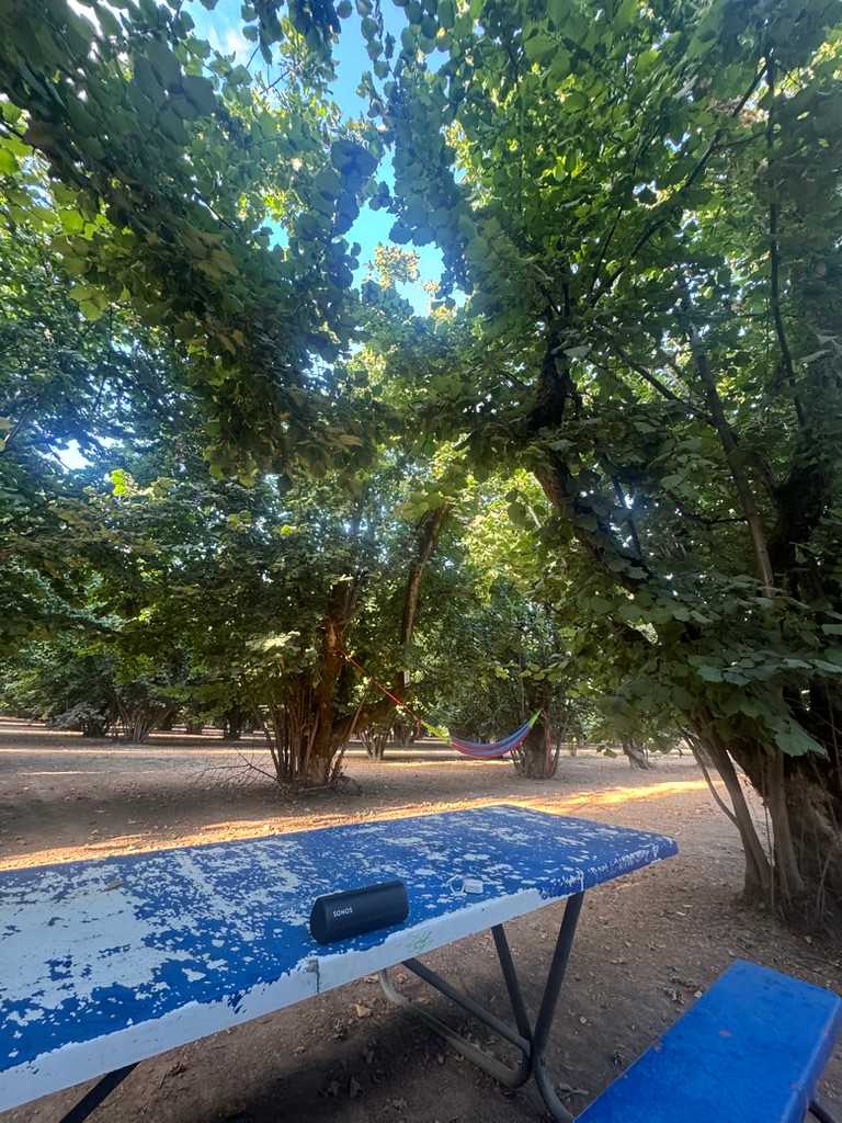 Tranquil Orchard and Wine Tours