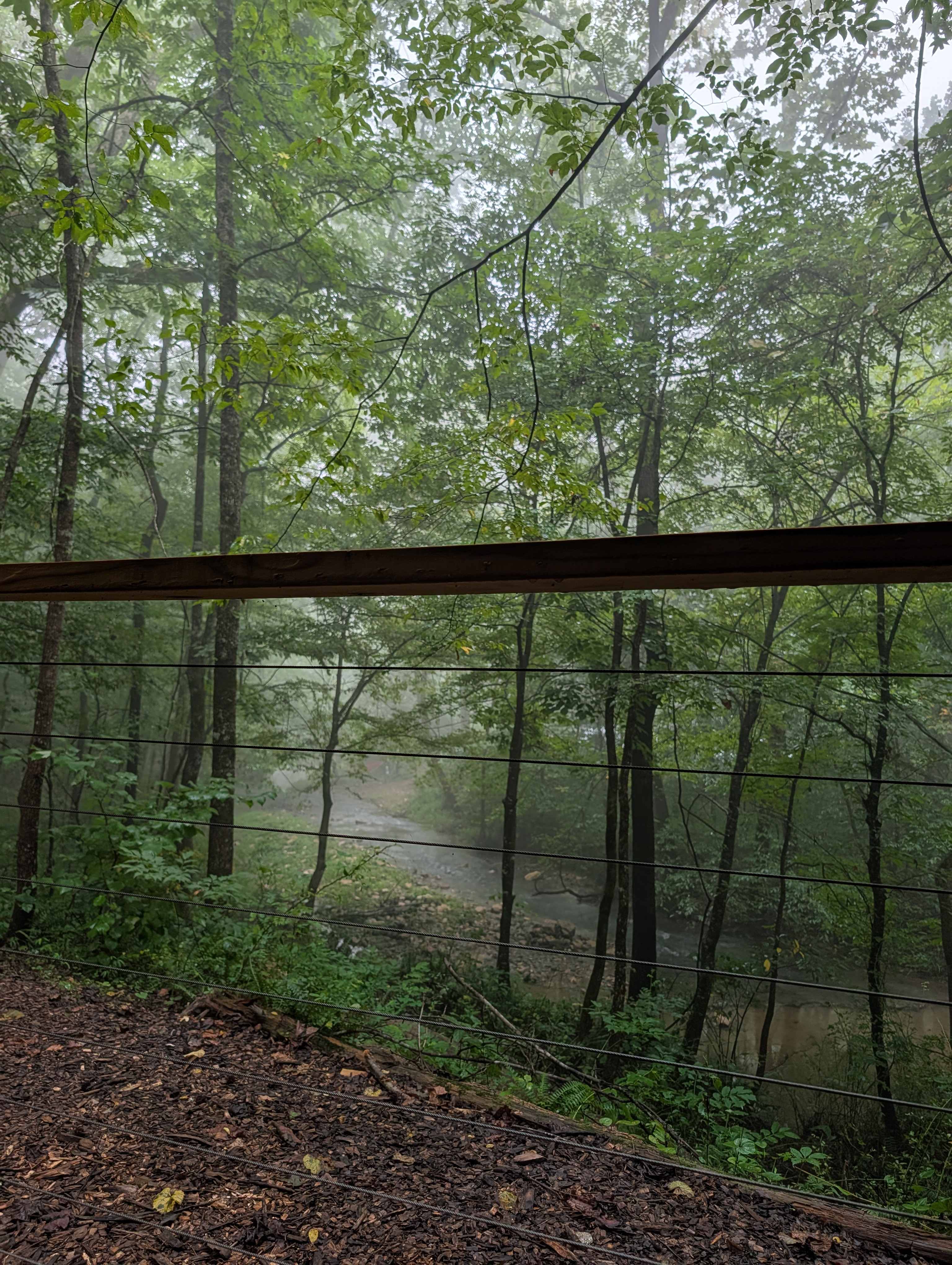 TangleWood Creekside Campsites