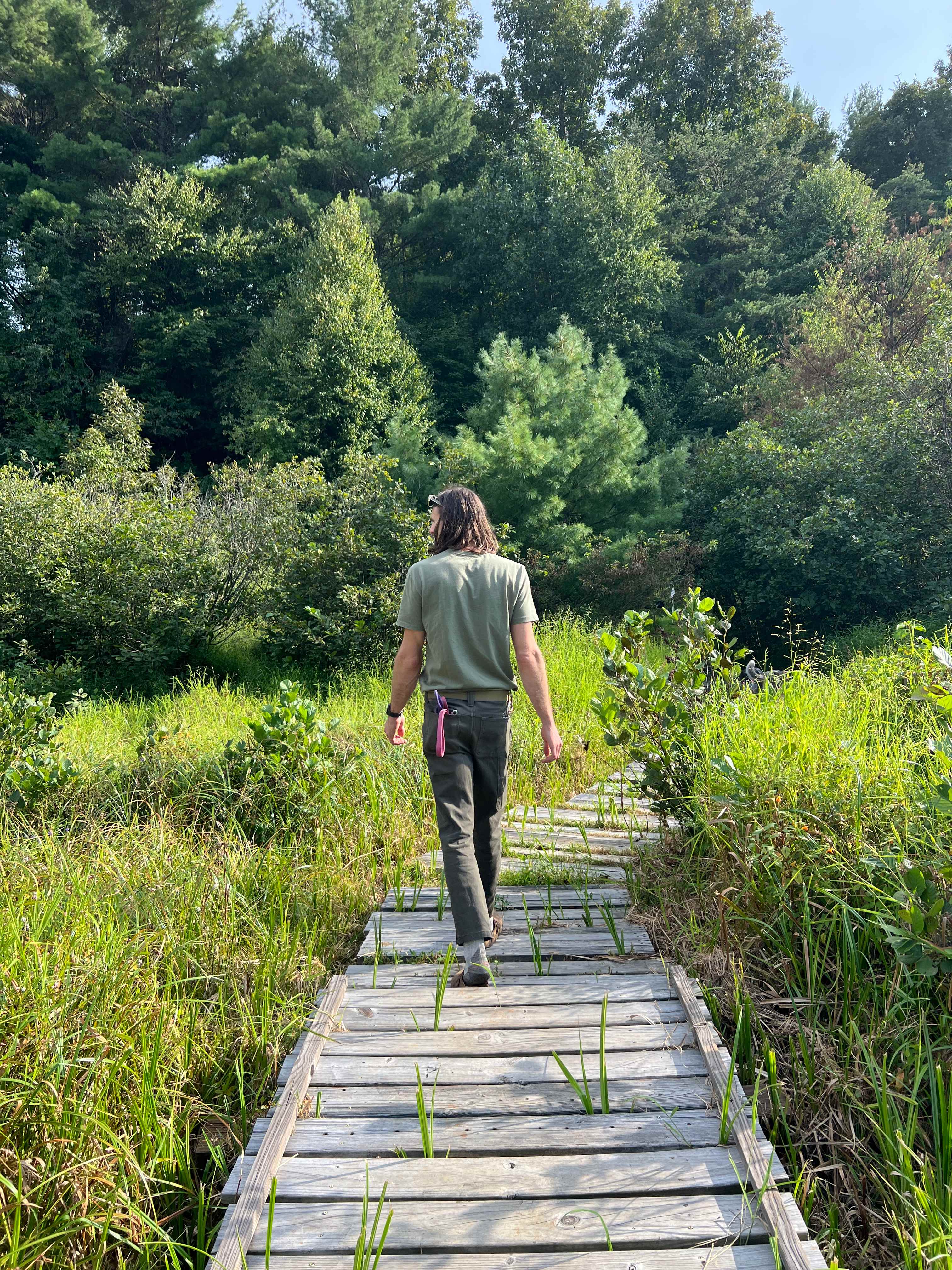 Hiking trail 