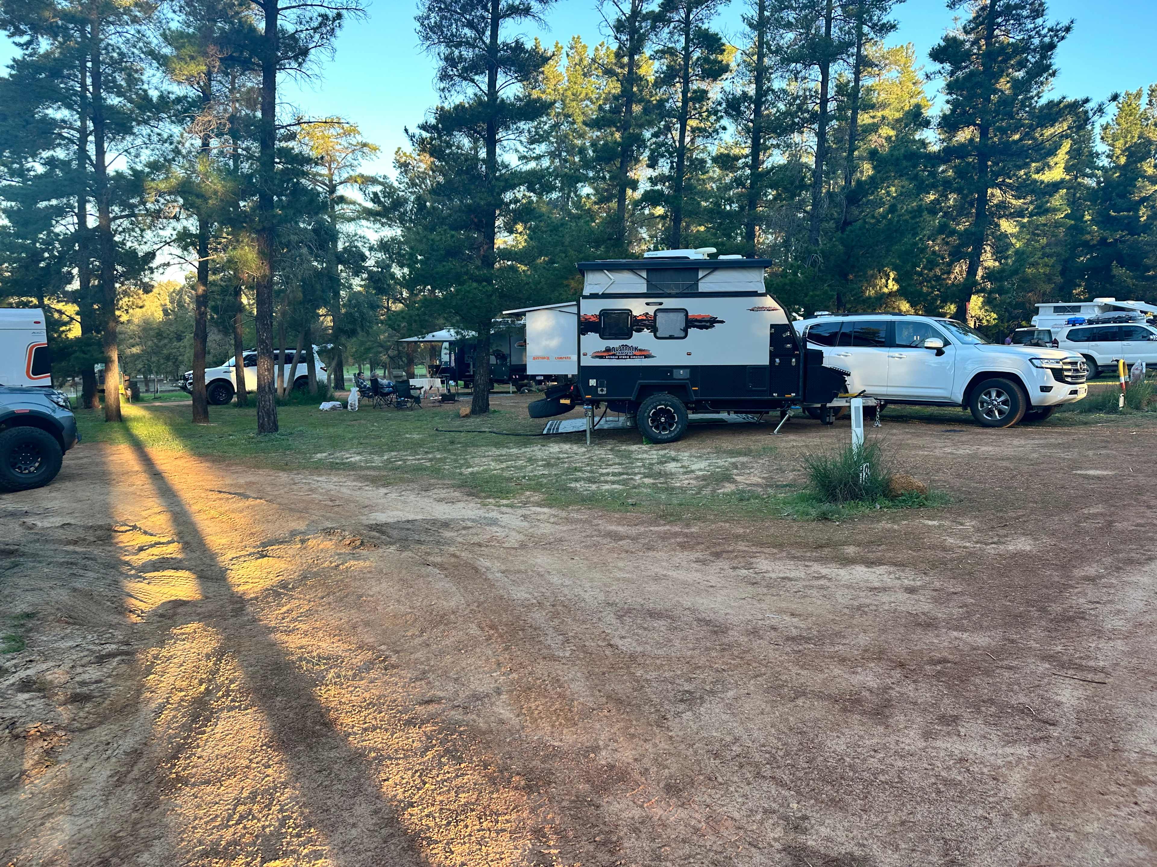 Little Eeden Farm Pine Camp