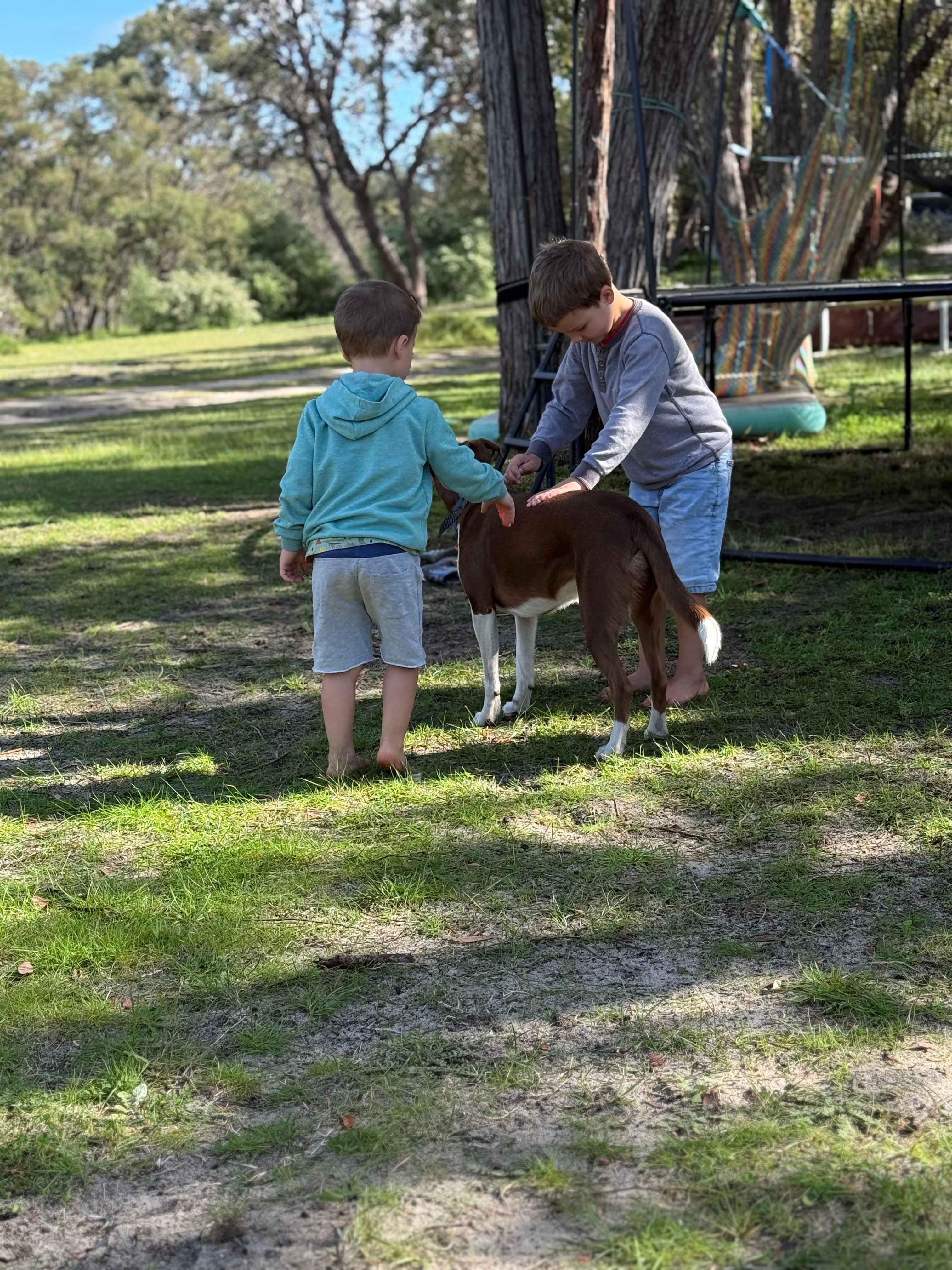 Paws & Feathers Farm