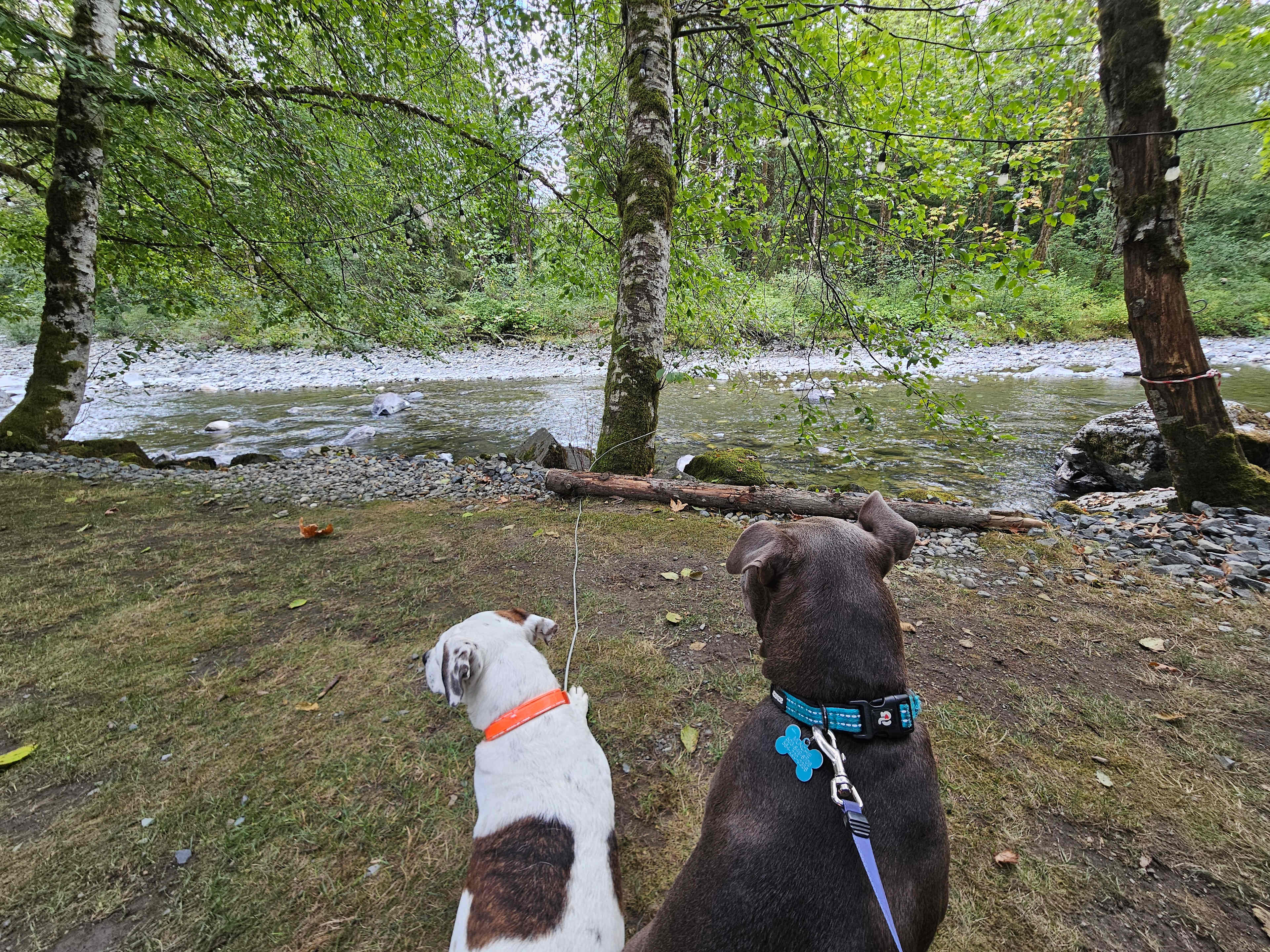 Marvin N’s River Mountain Oasis