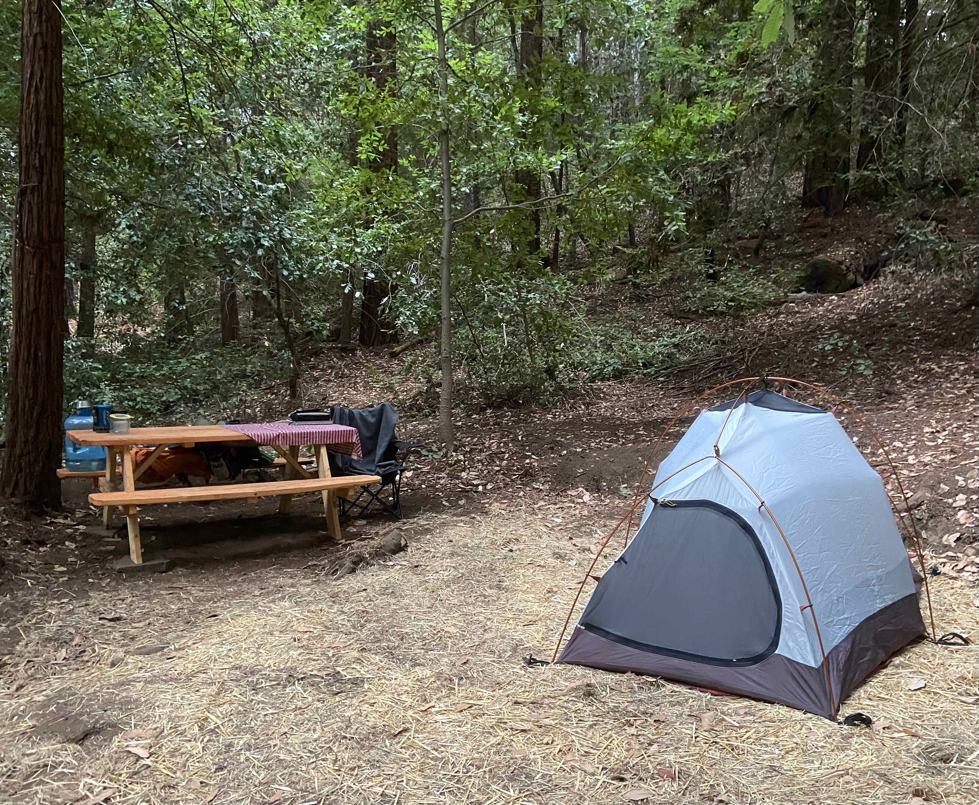 T4 cozy and quiet