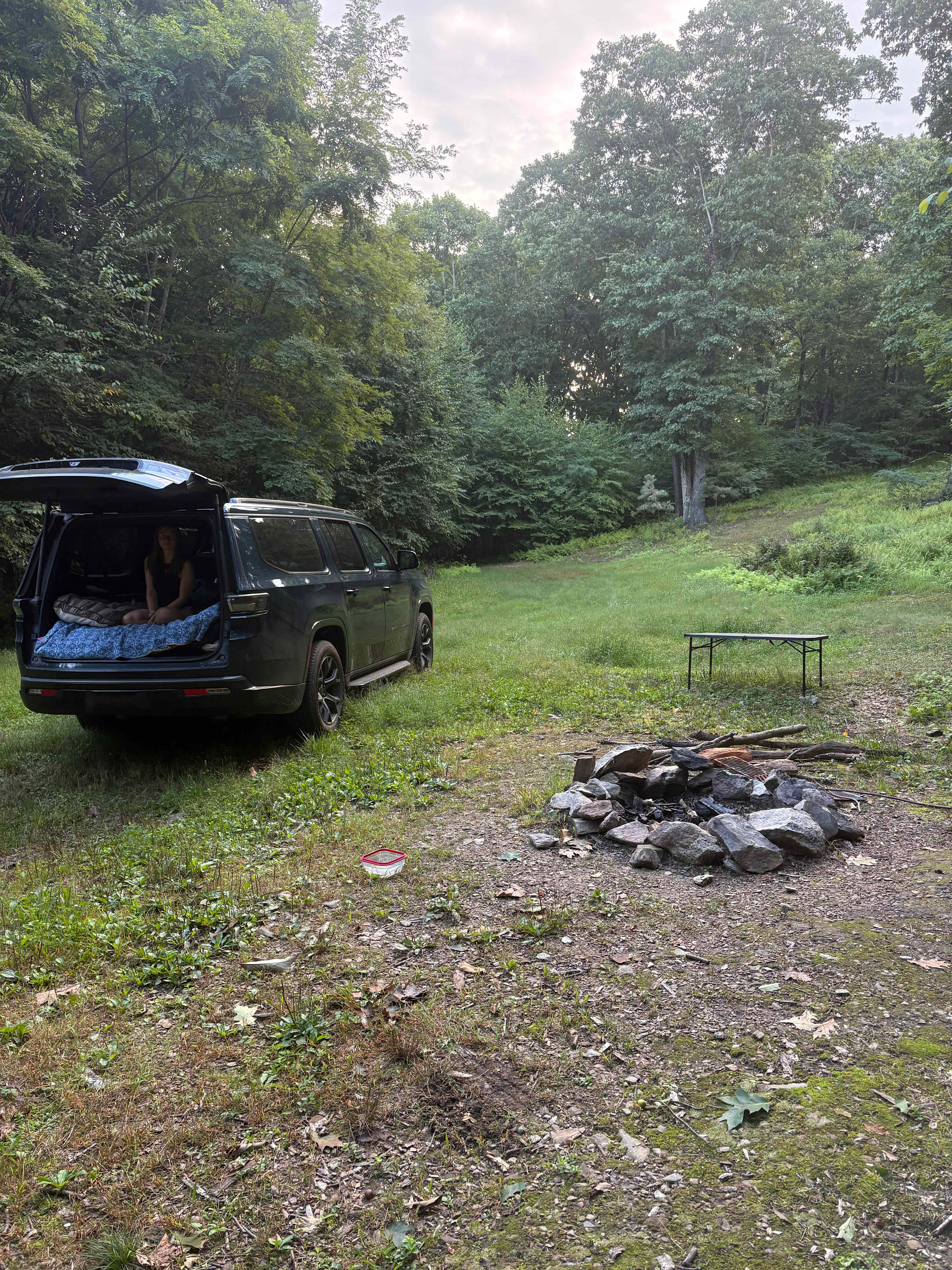 Wooded Car camping 
