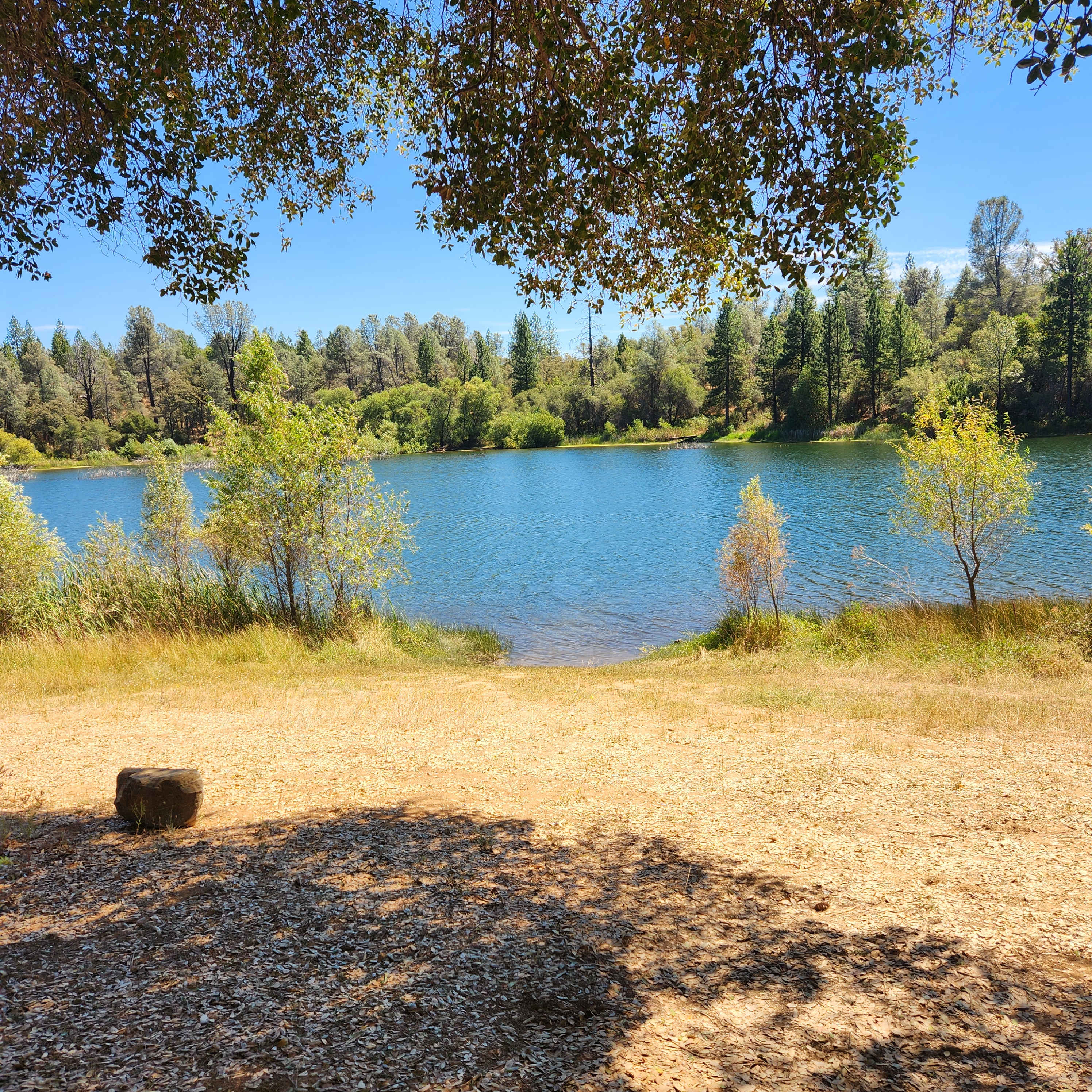 Finnon Lake Recreation Area