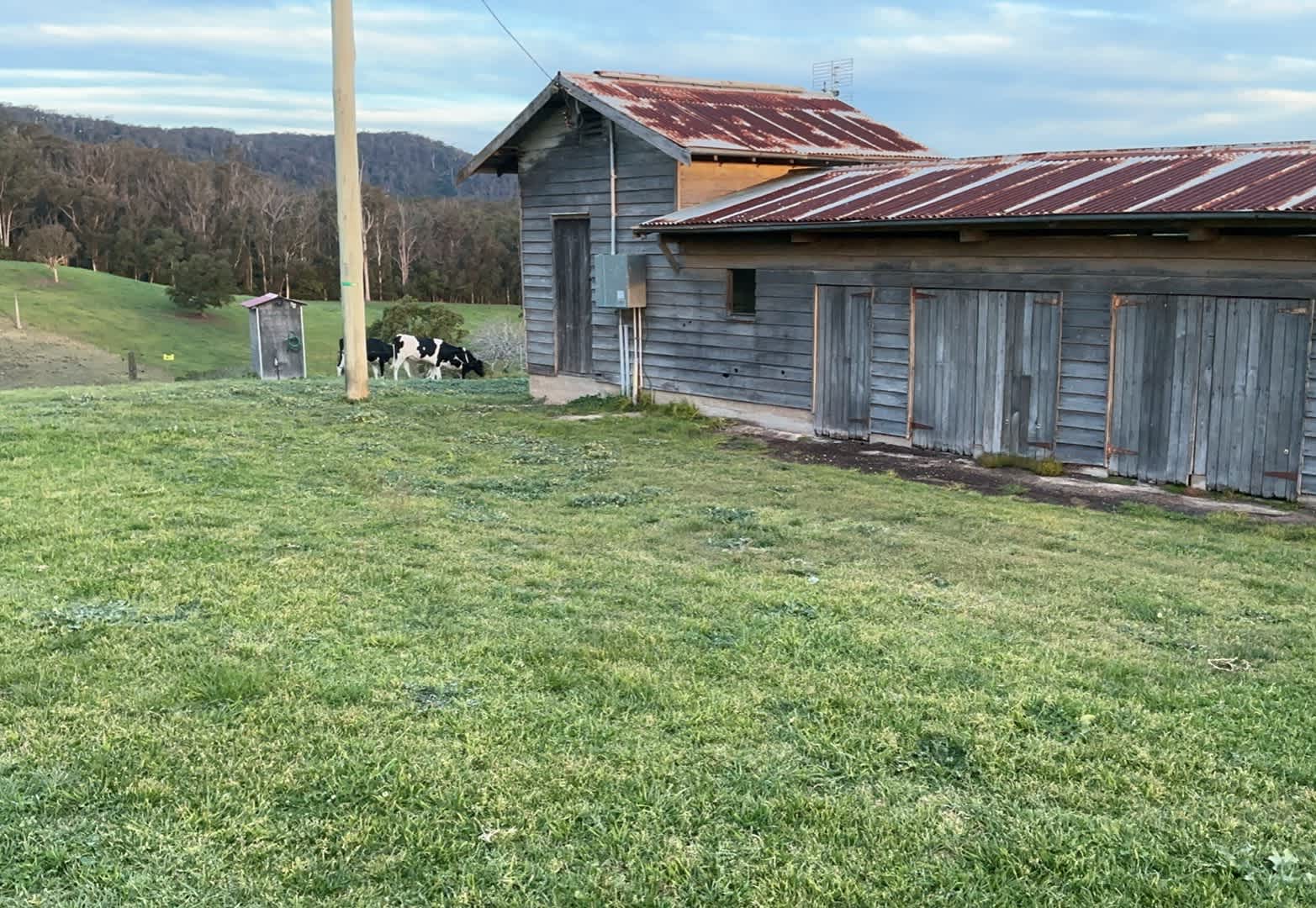 Sapphire Coast Dairy-Homestead