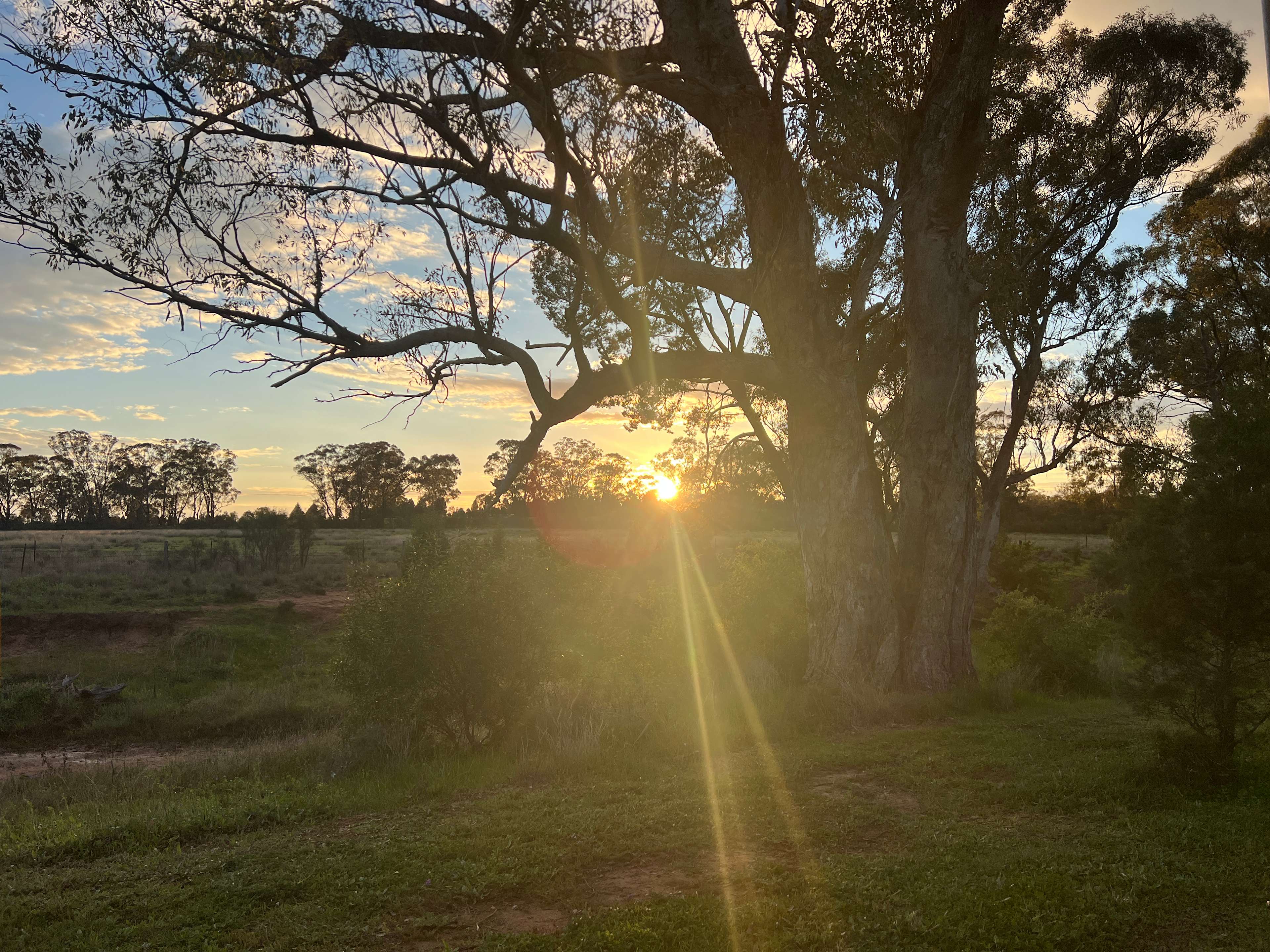 KANGAROO CREEK CAMP DUBBO
