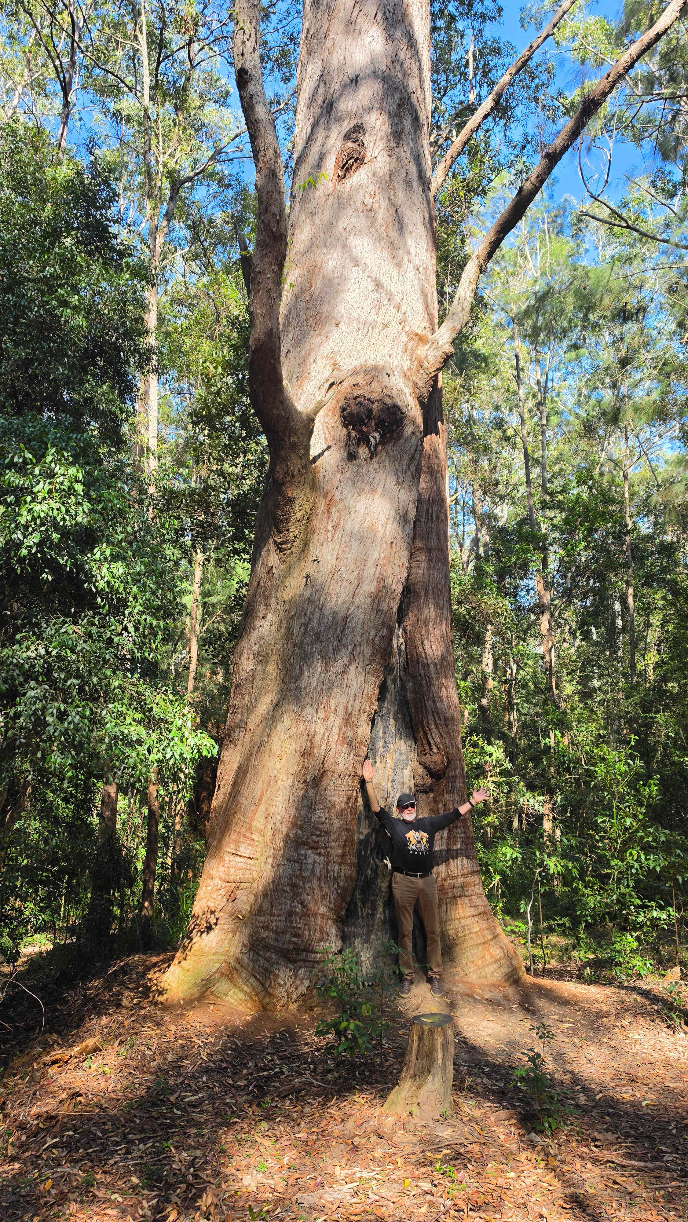 Bonville Camp Ground