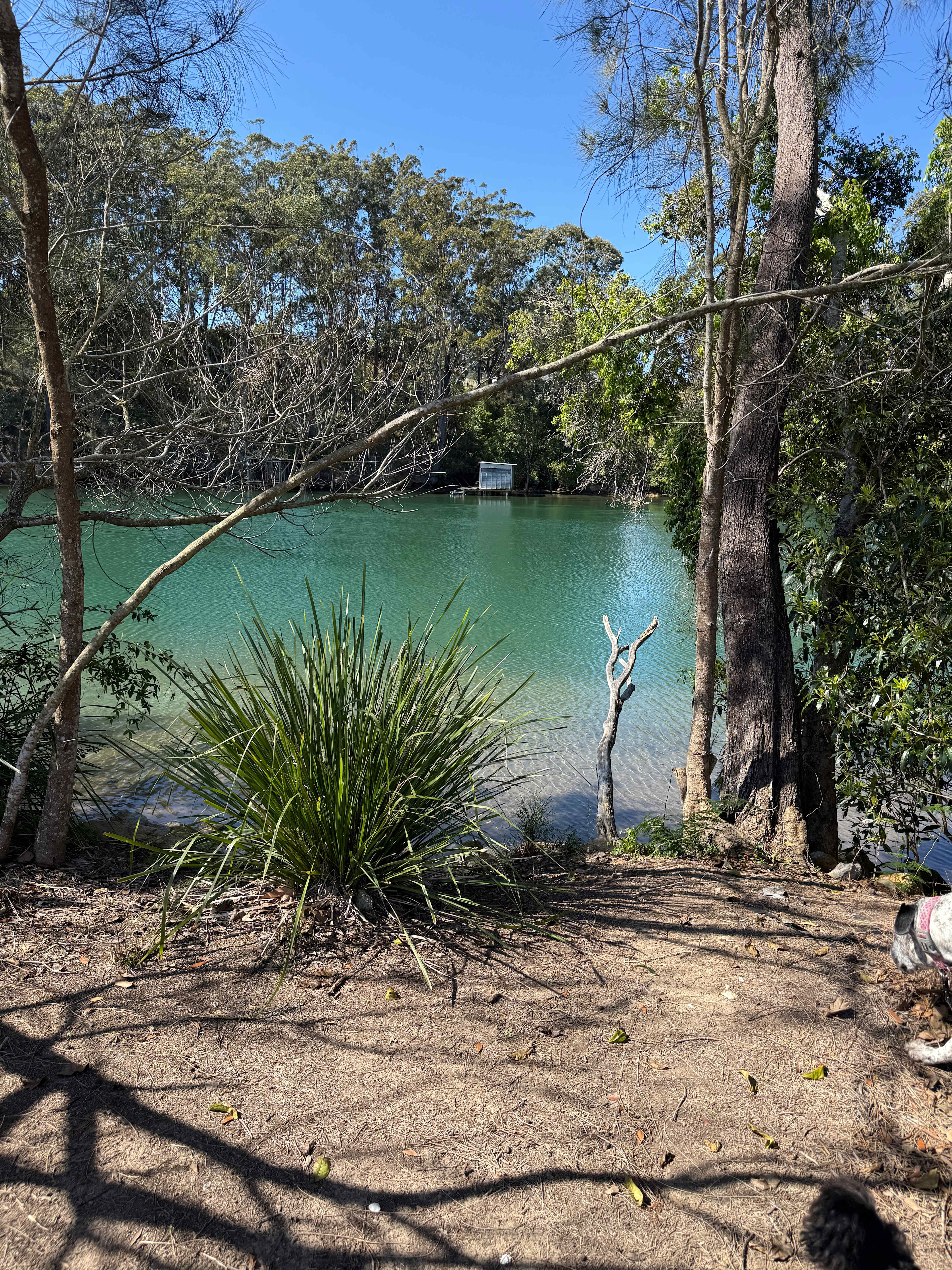 Anchorage Park Urunga