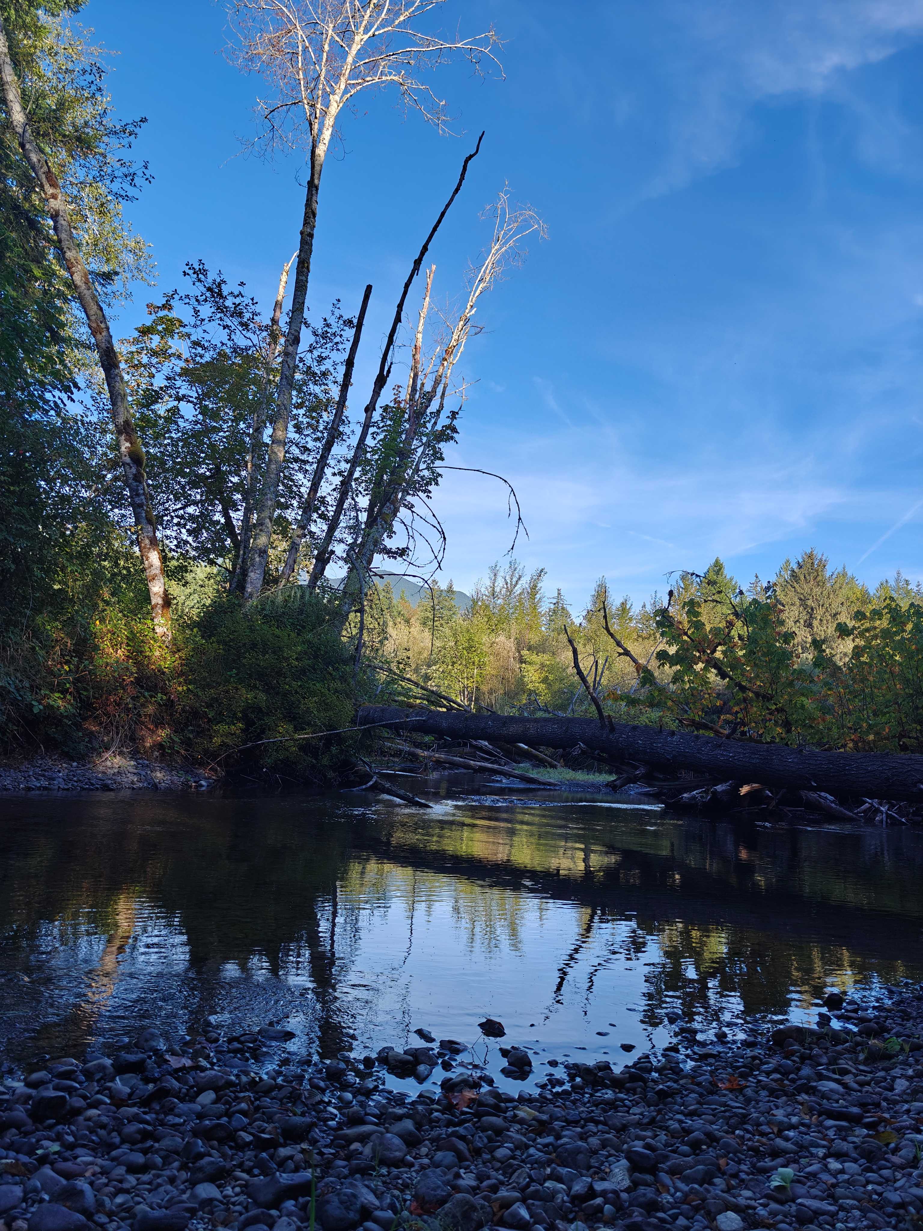 Tranquil Acres