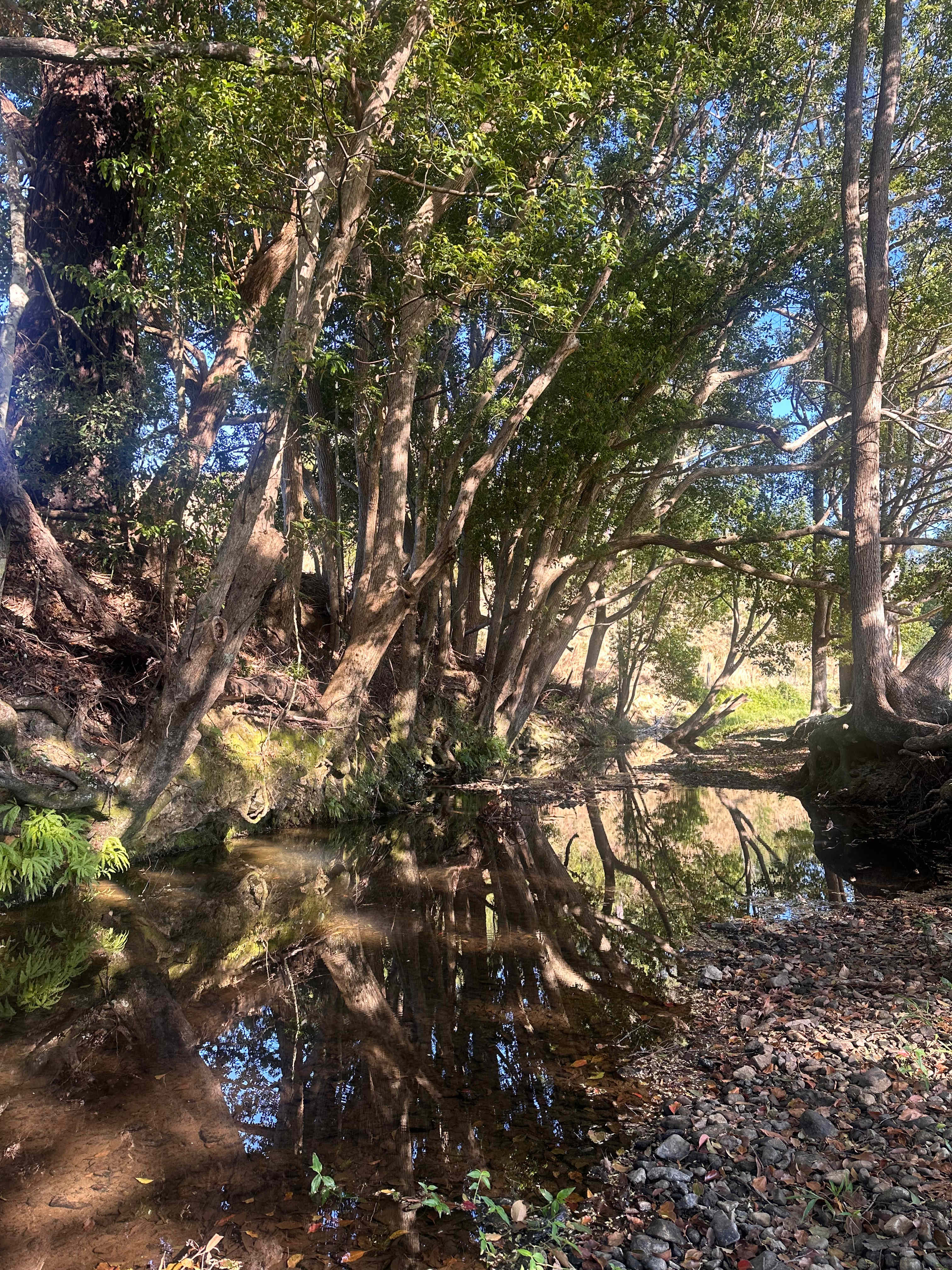 Up The Creek