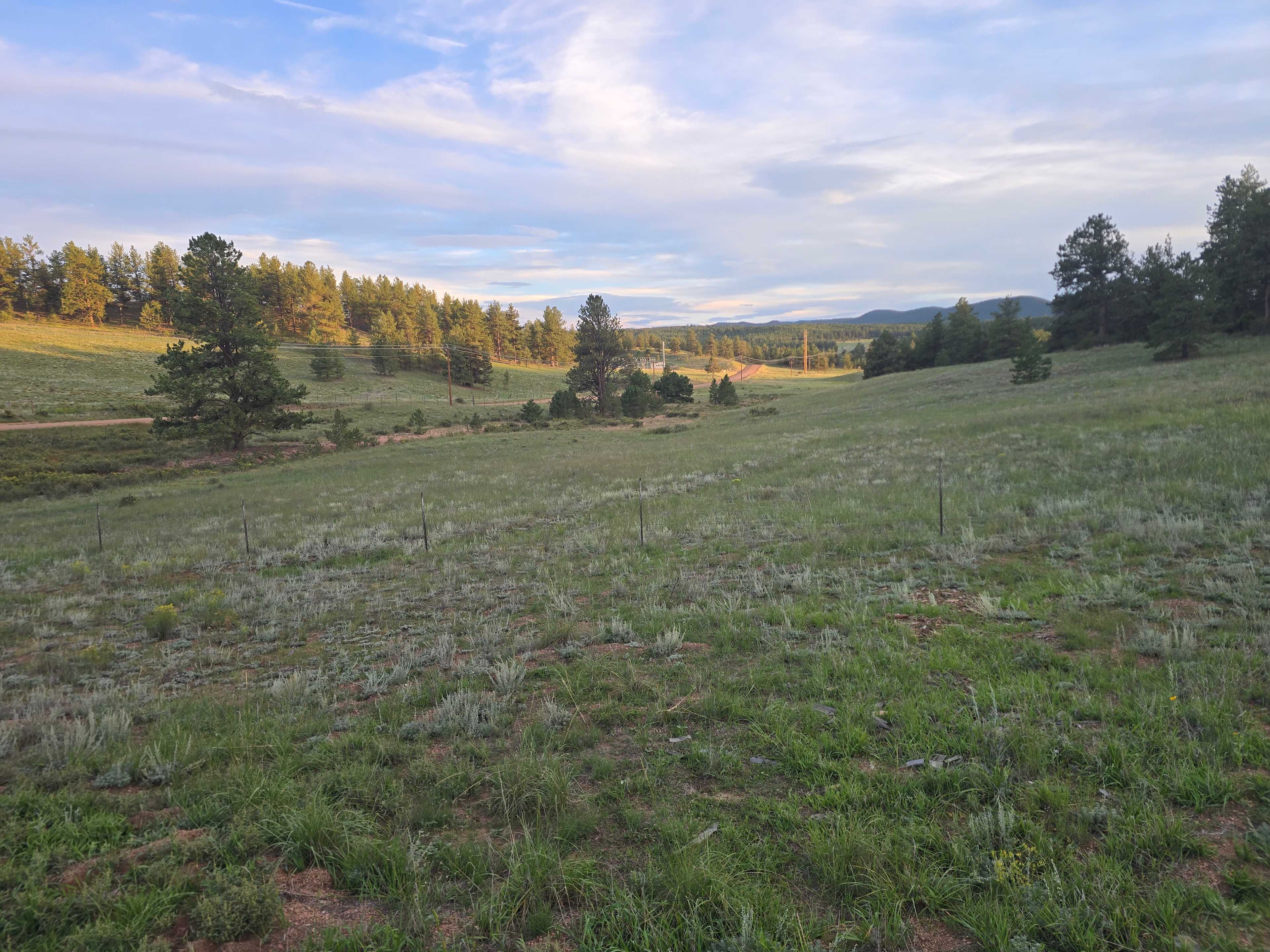 Pikes Peak Drive Peaceful Acres