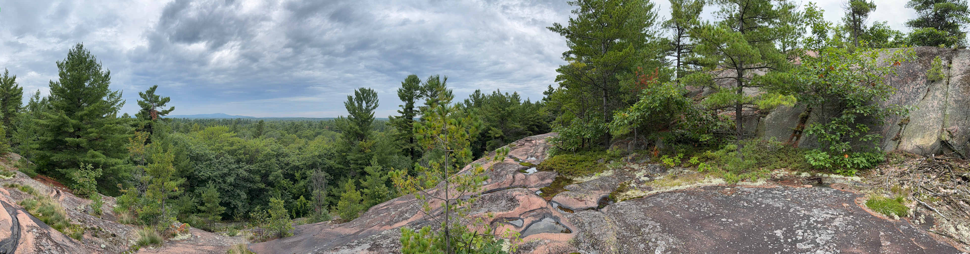 The summit