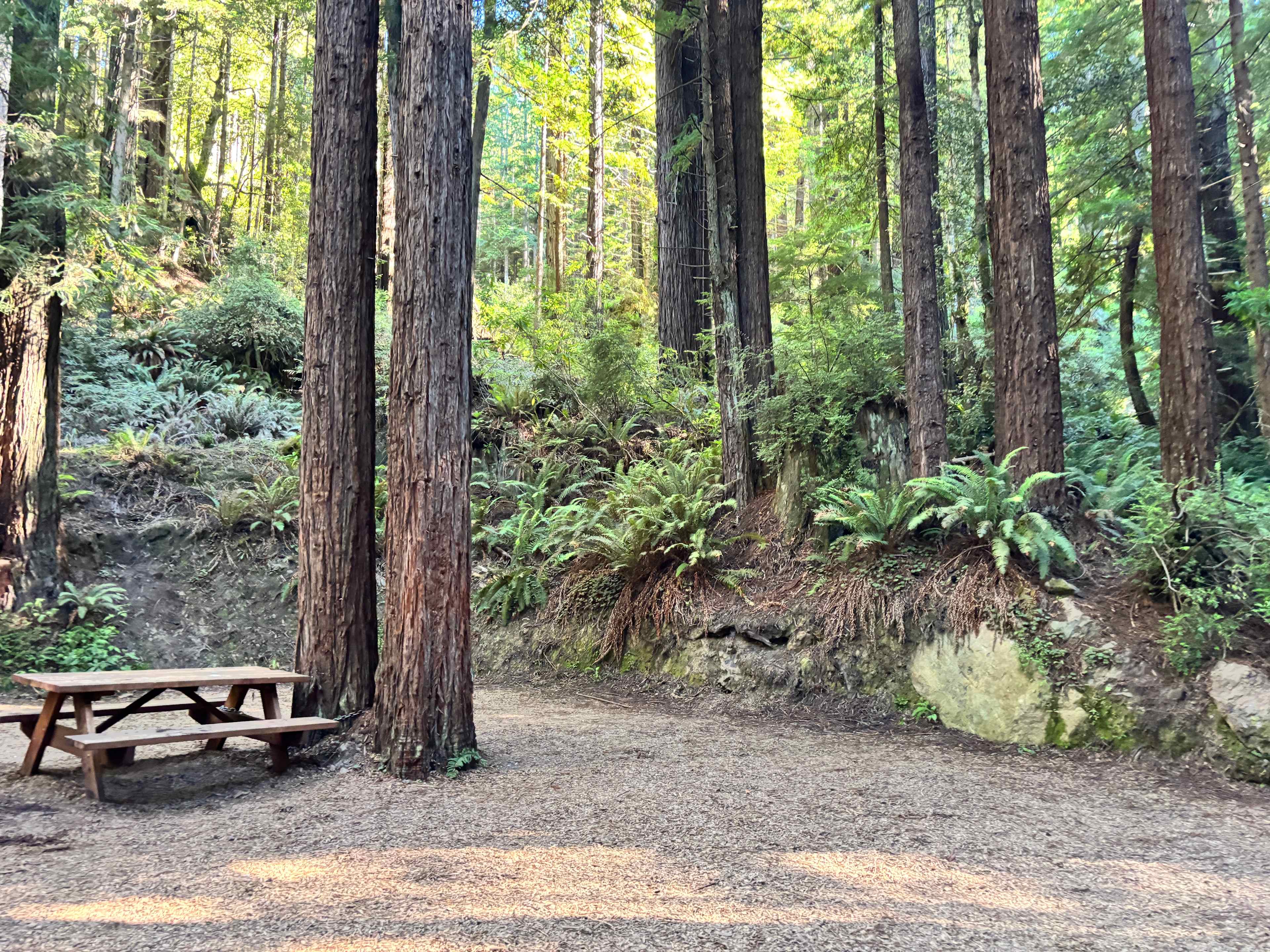 Whispering Redwood Creek