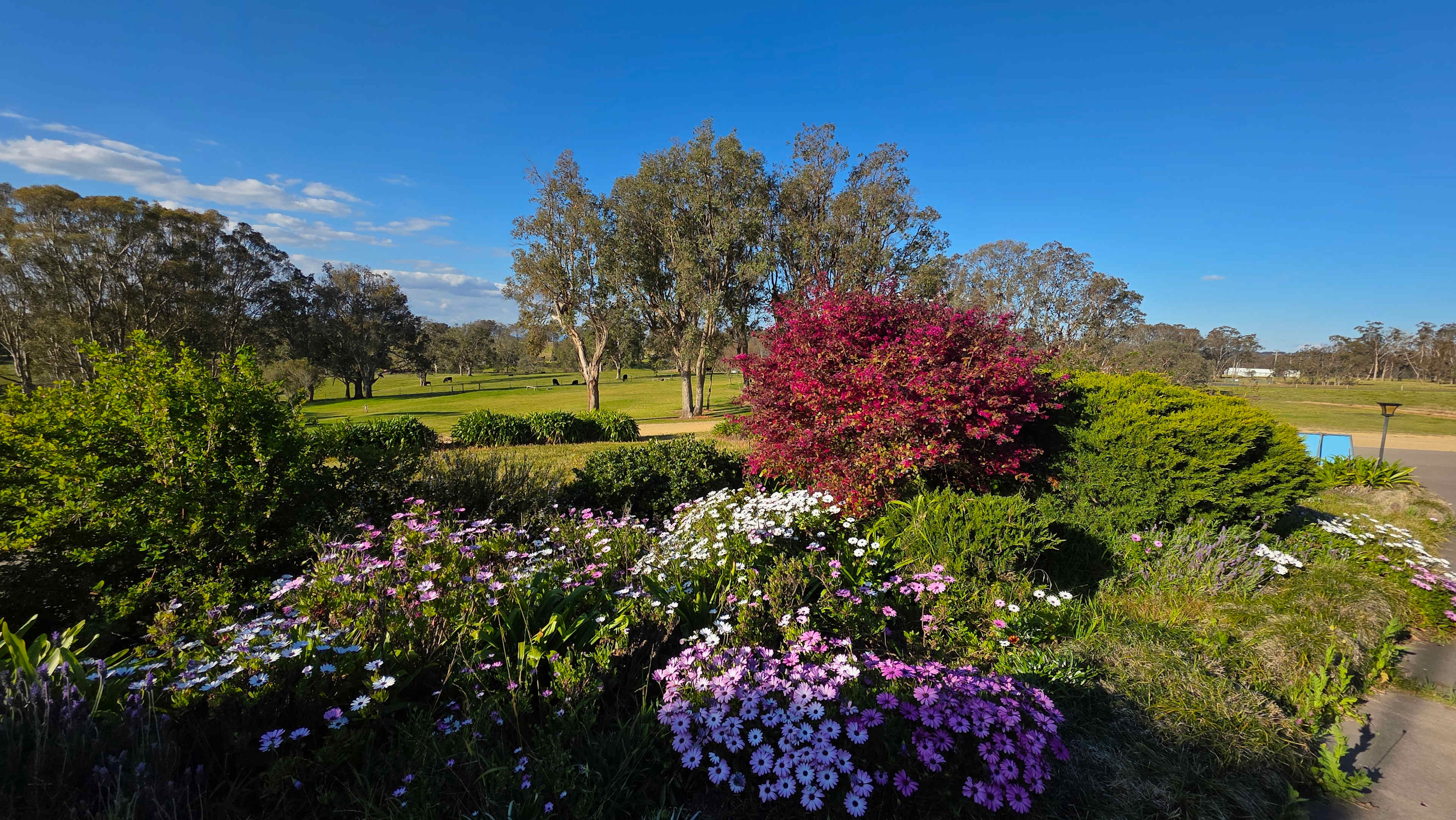 Aloomba Lavender Farm