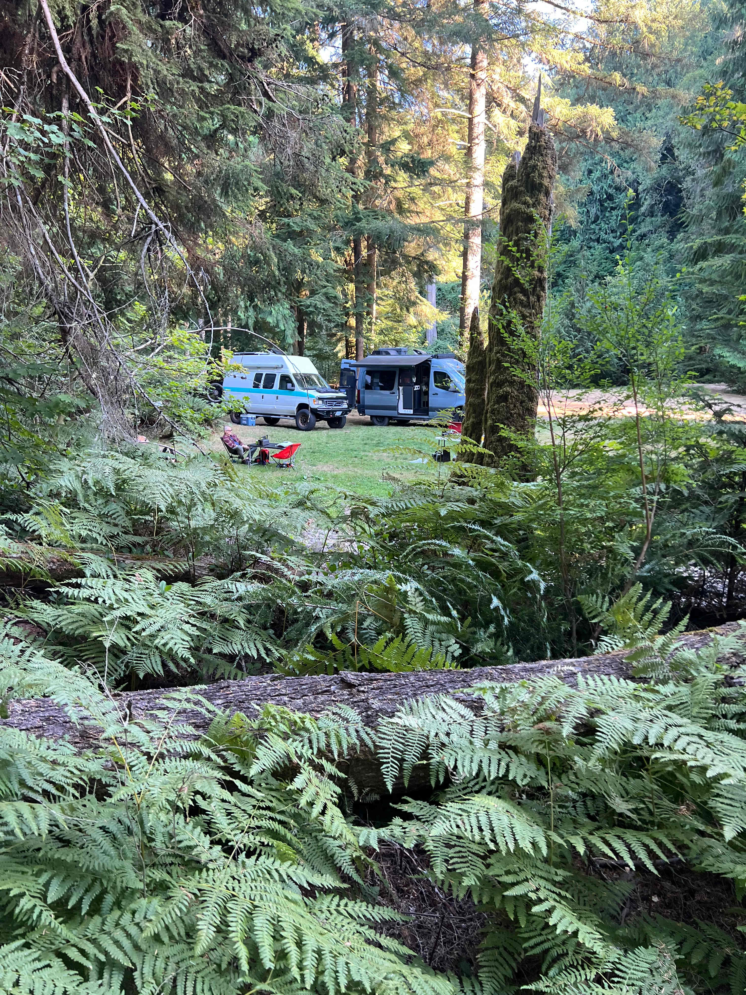Camp Cedar Creek ⛺️🌲🚐