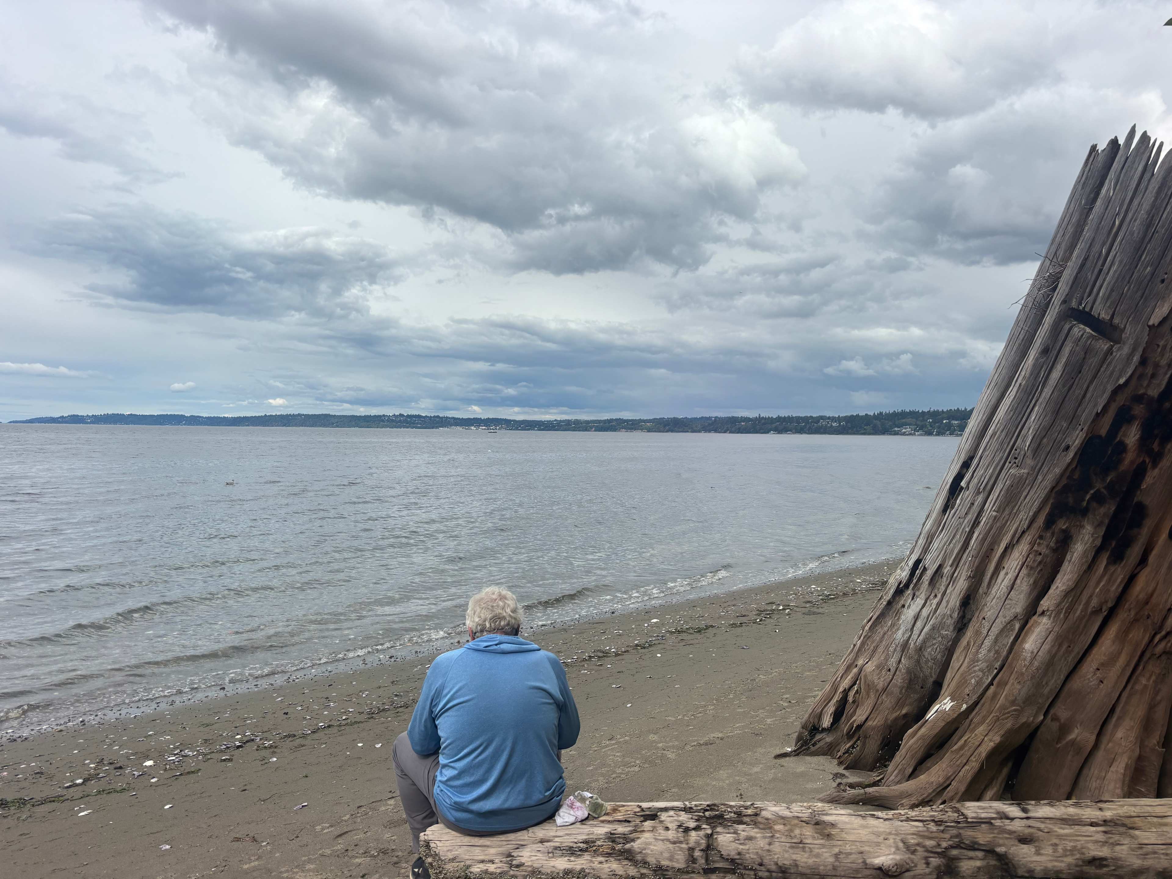 Marine View Drive In-City Oasis