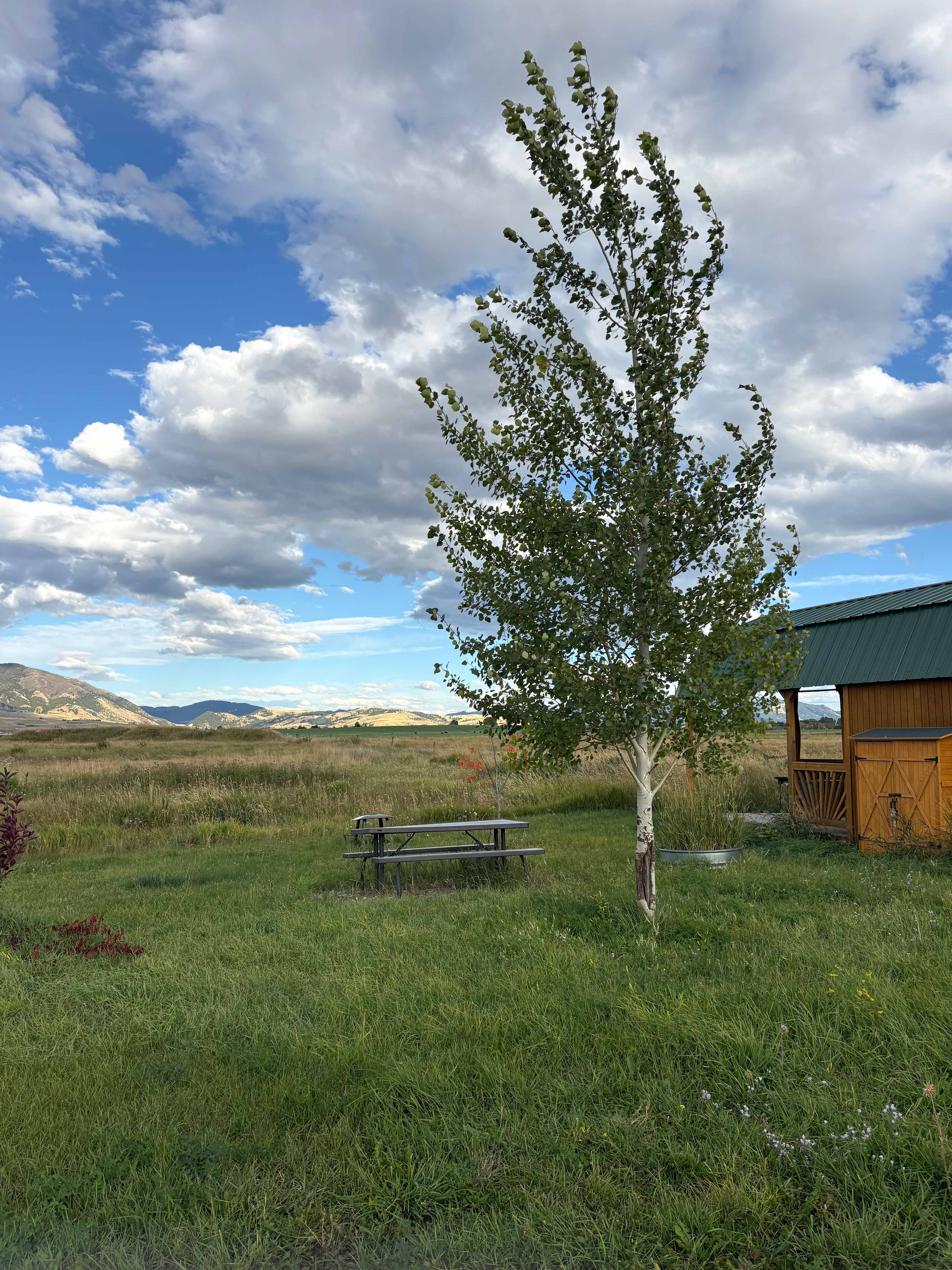 Creekside at Liberty Acres Bozeman