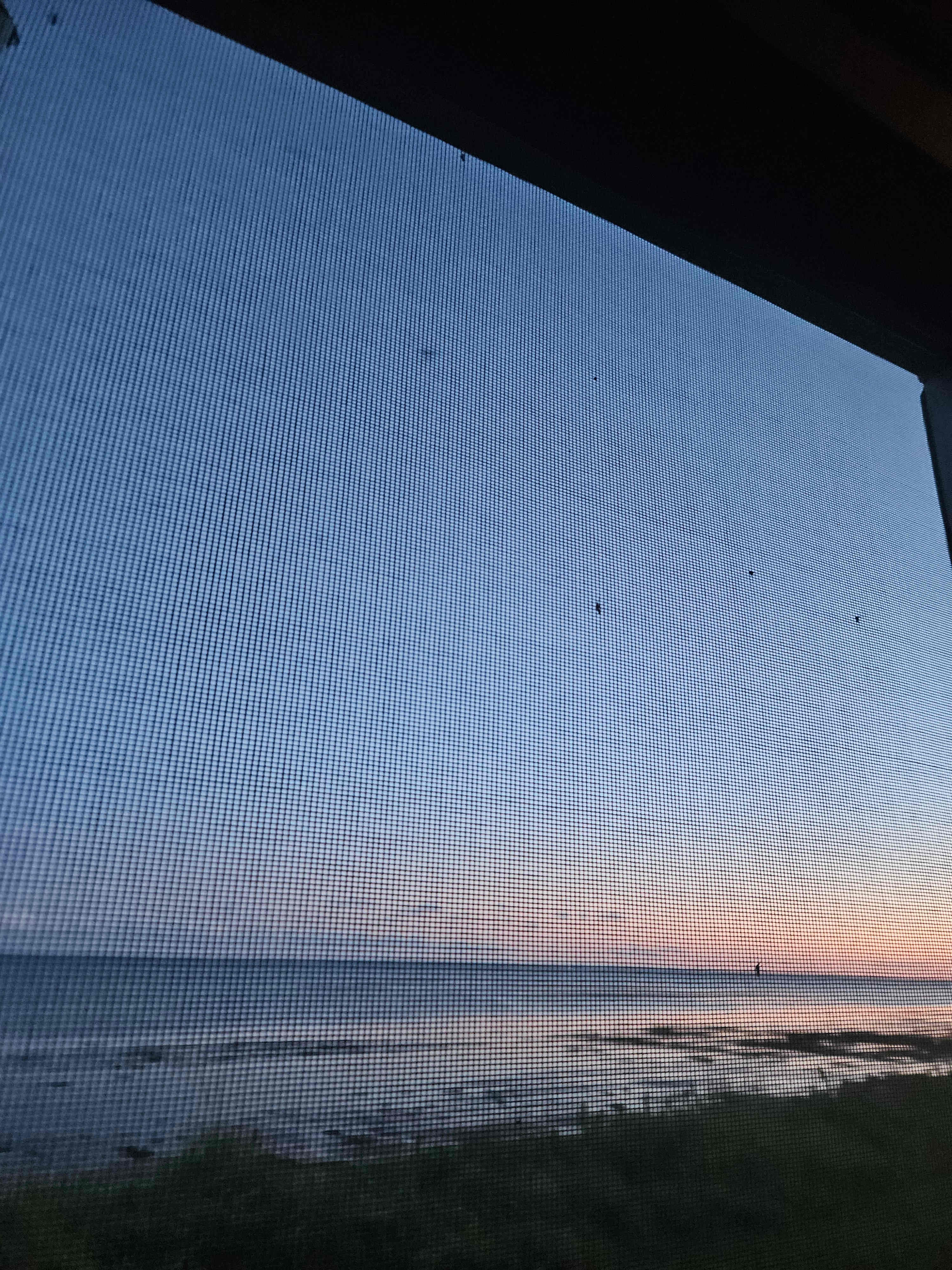 Evening sunset