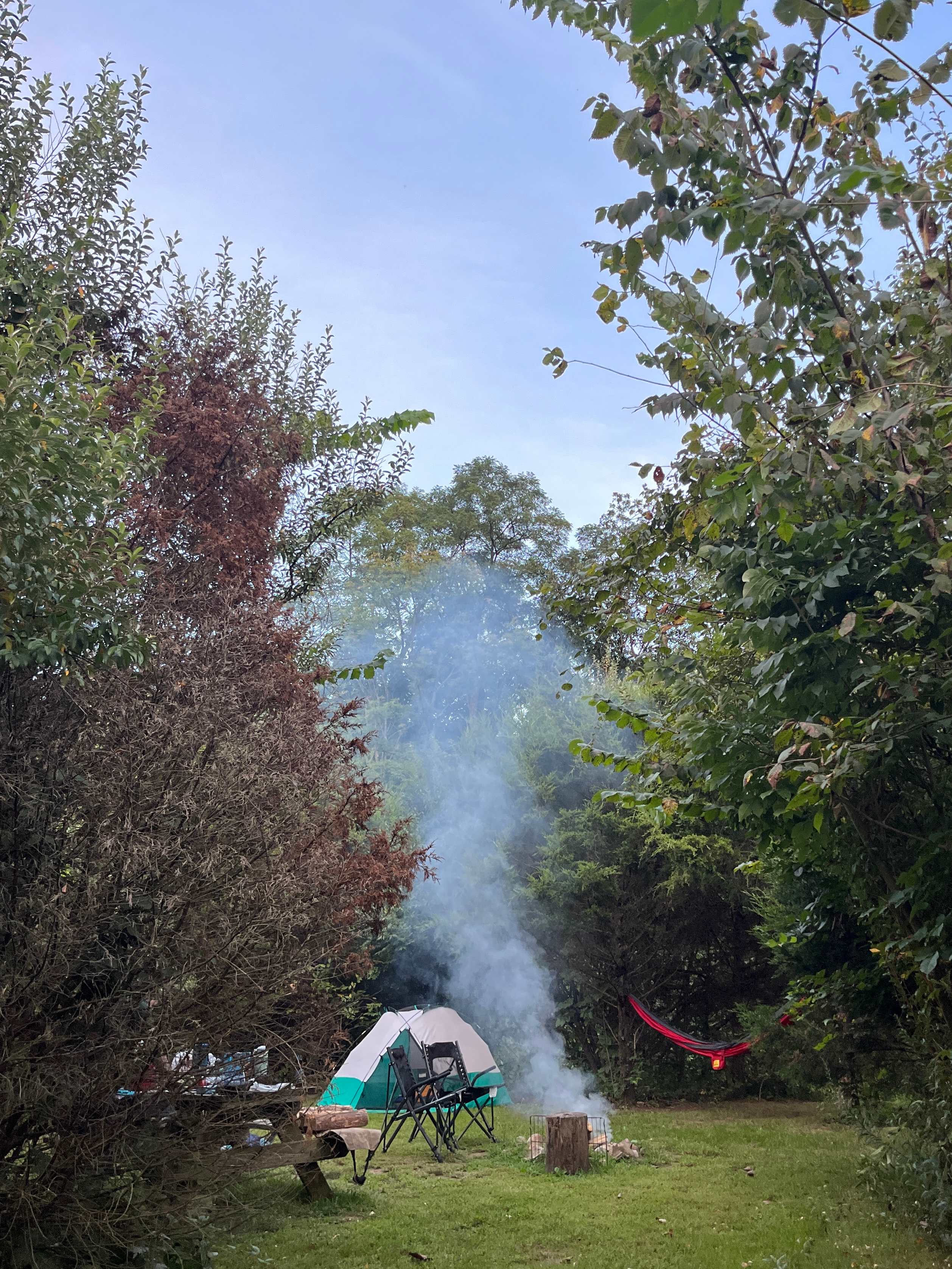 Campsite 4