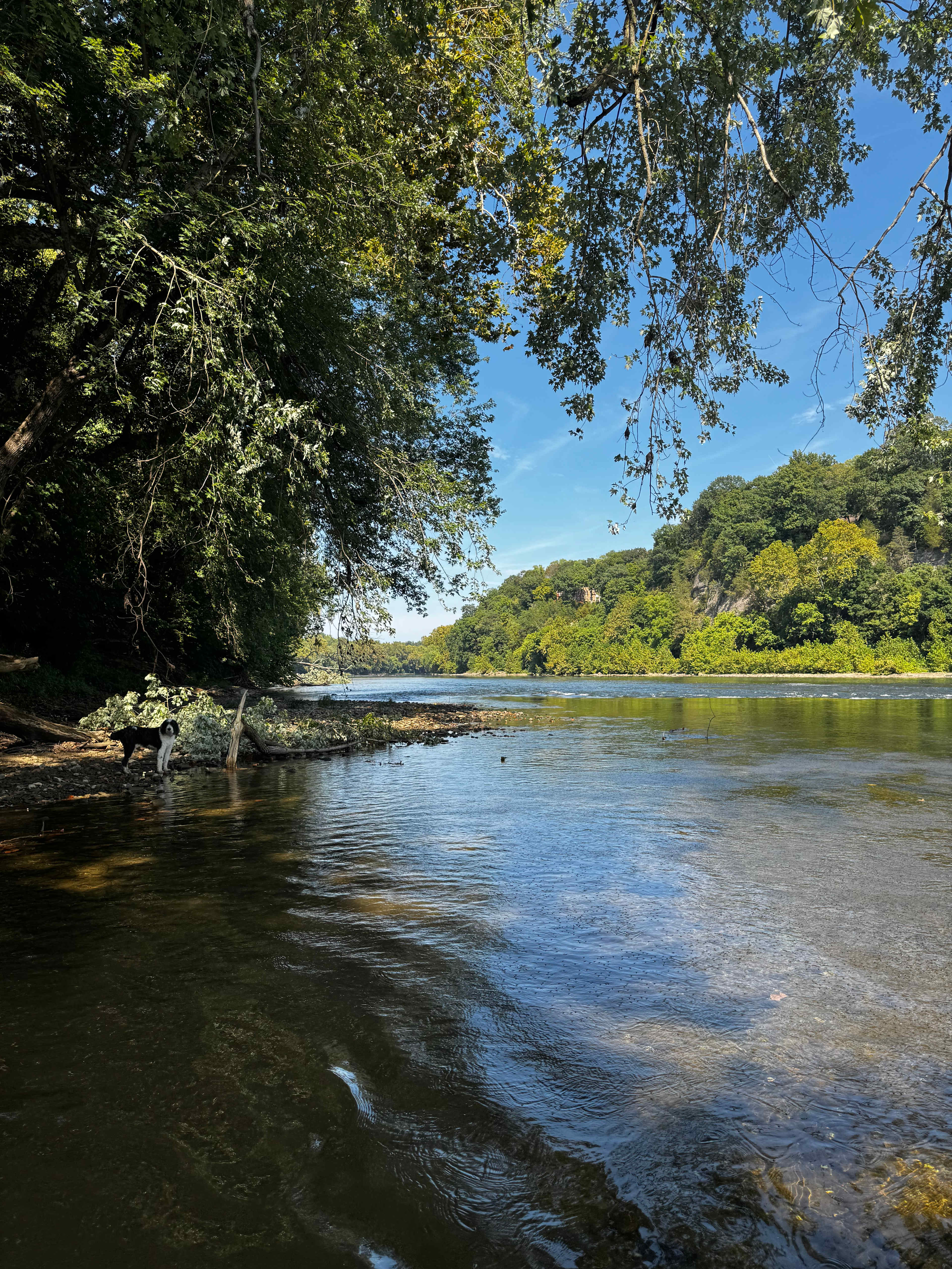 Taylors Landing Camping Club