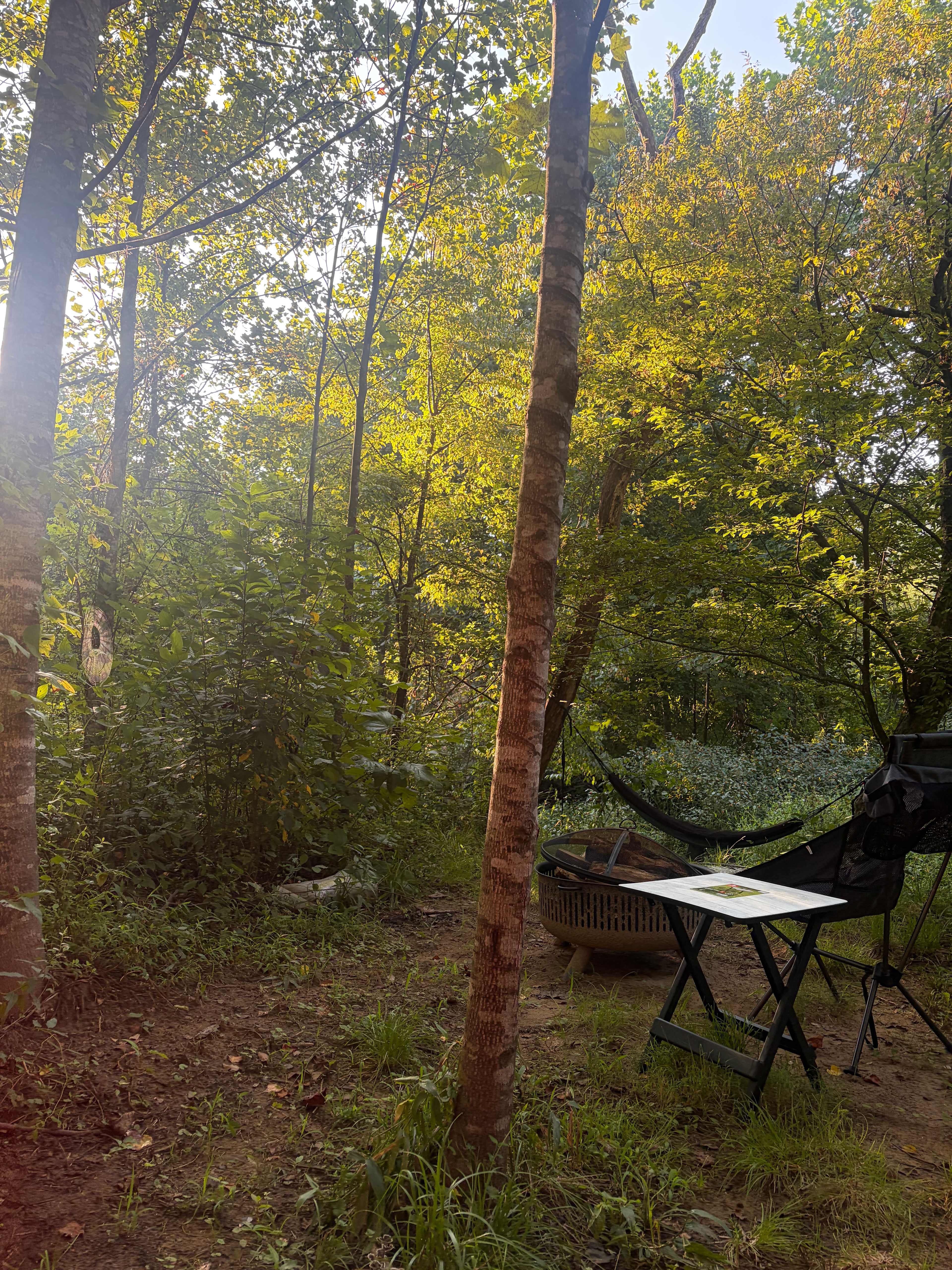 Fire pit and site area (my hammock, chair and table)