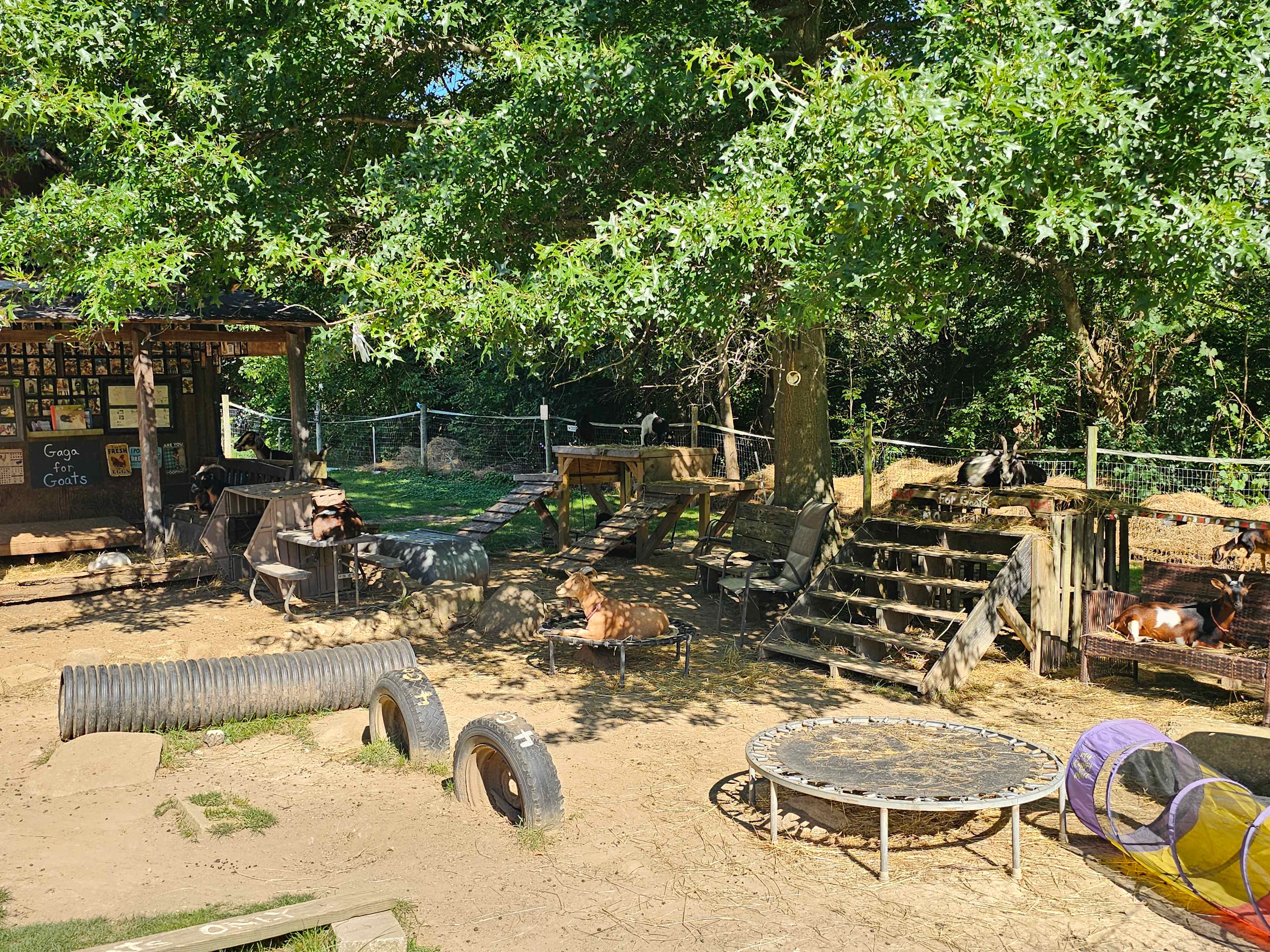 Goat Farm Hide-Away CVNP