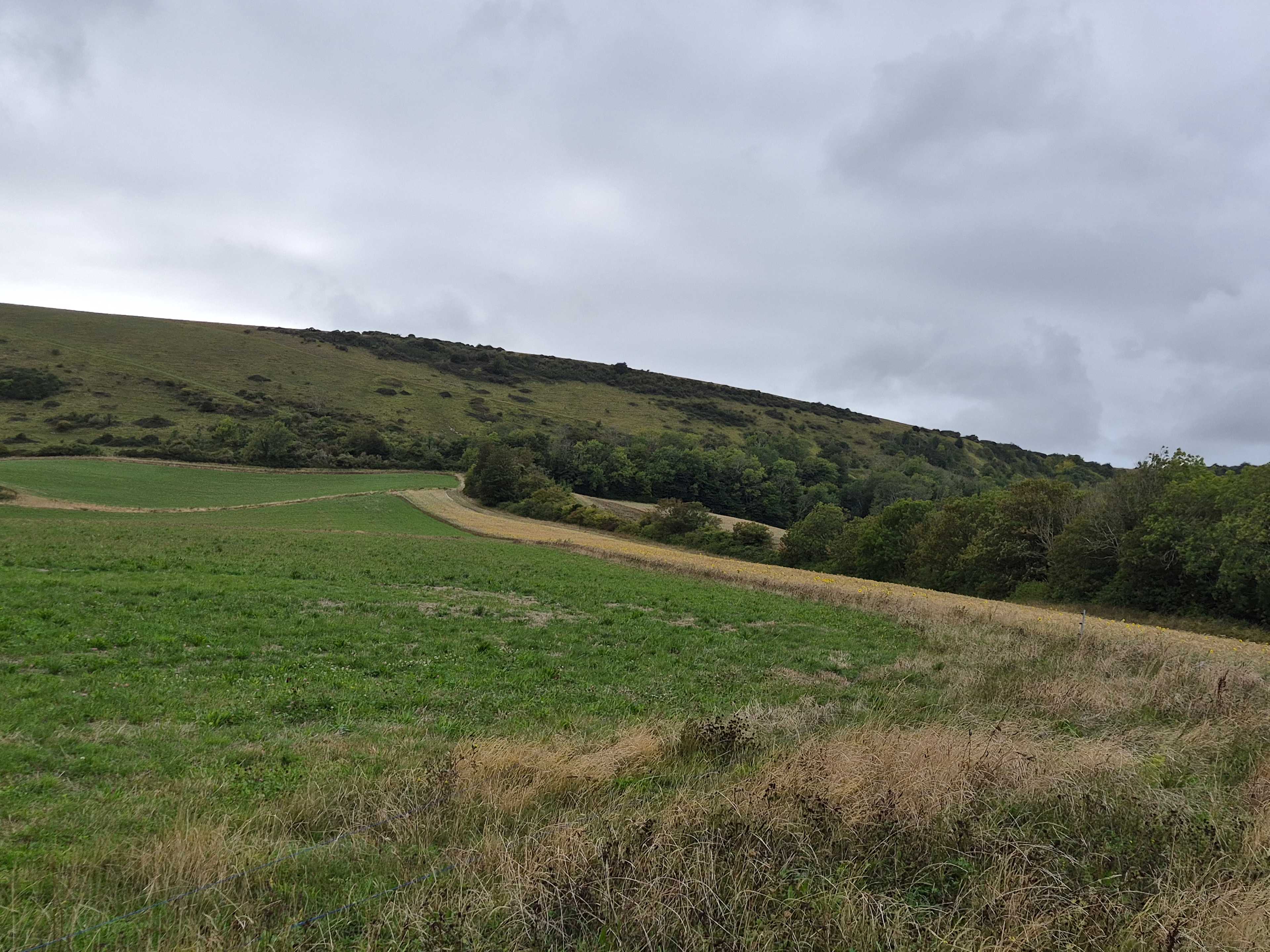 Alciston Court Farm
