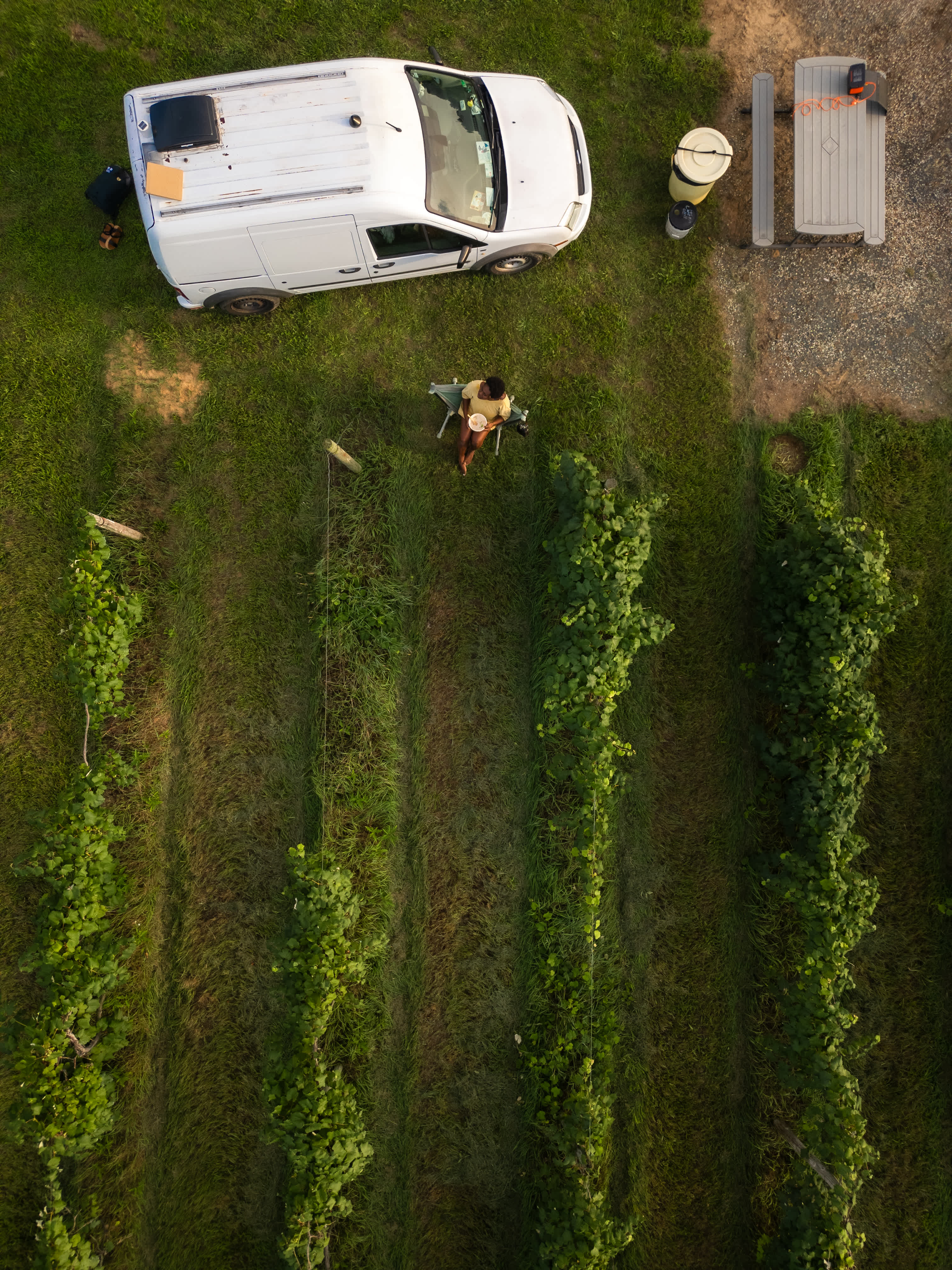 My site, among the vineyards