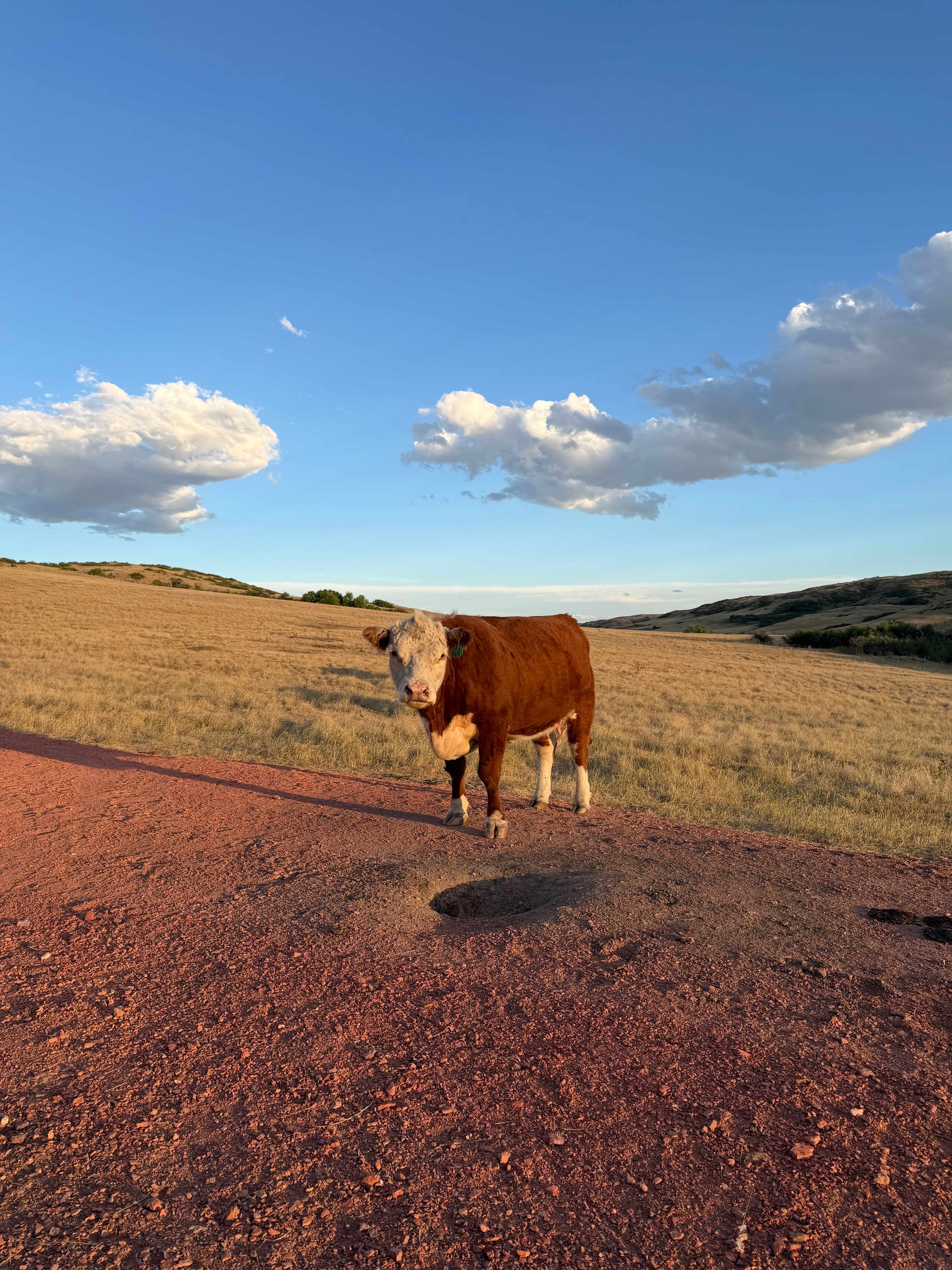 Brackettry Ranch
