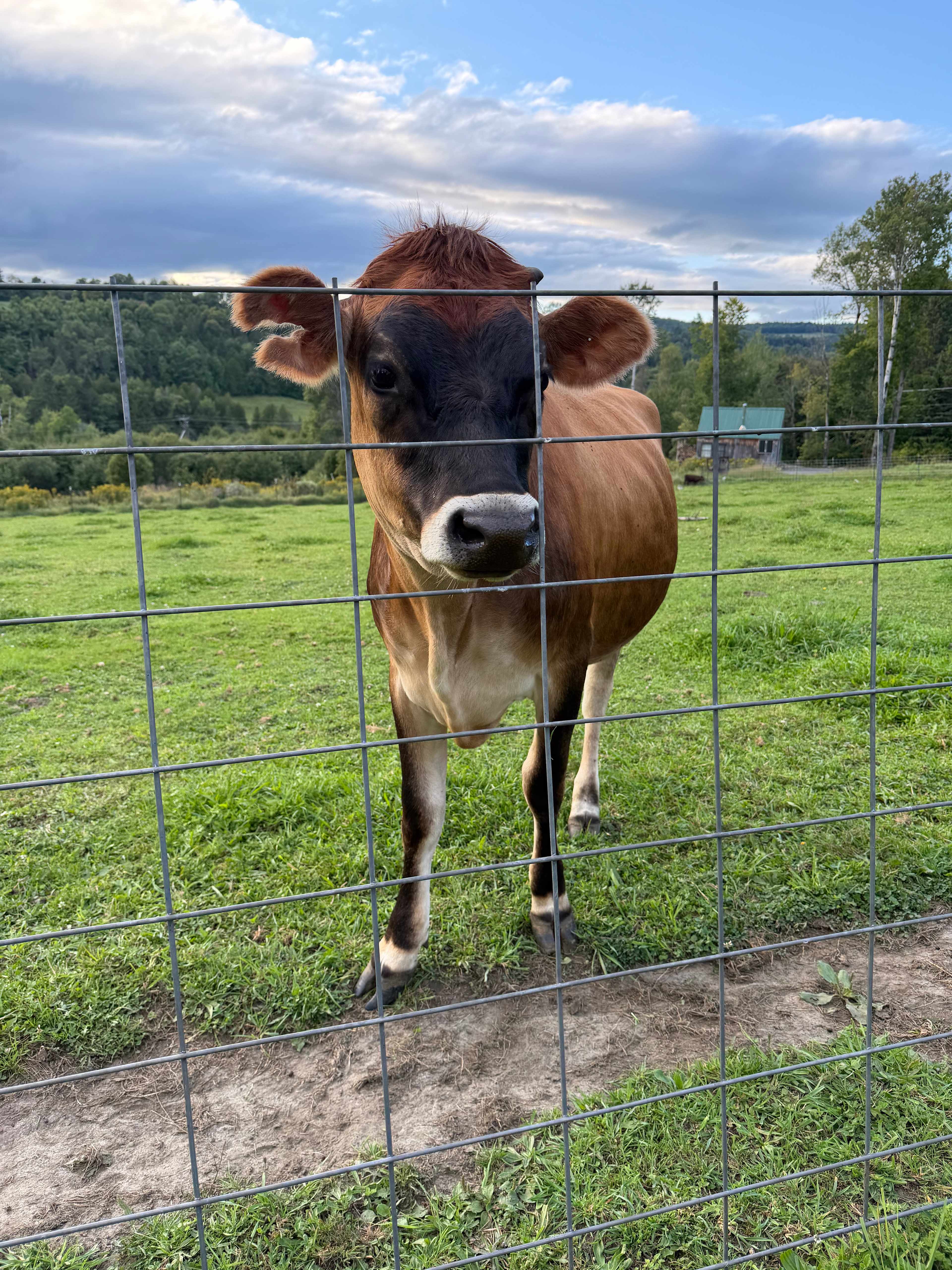 Broadfork Farmstead