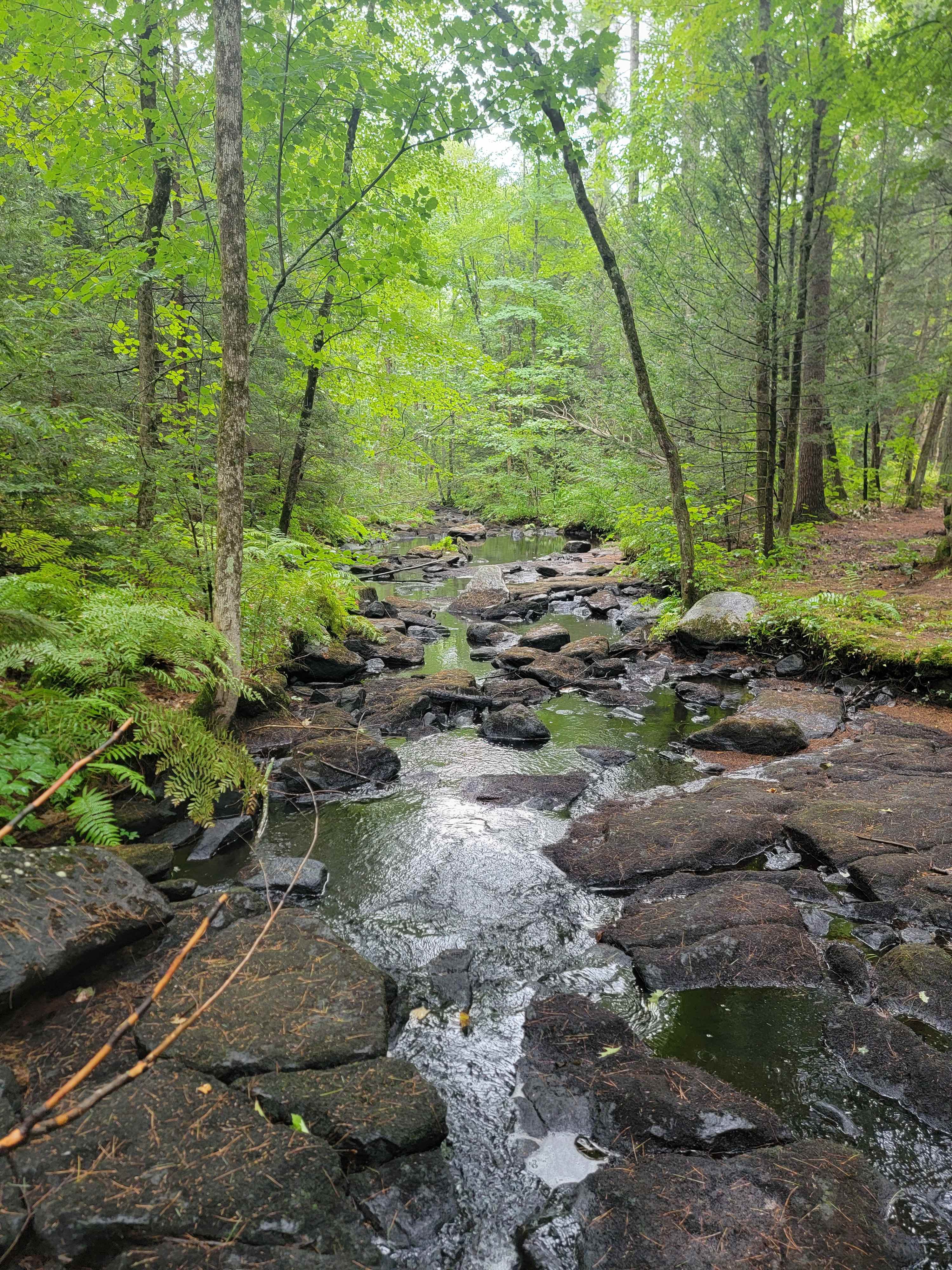Boulder Brook