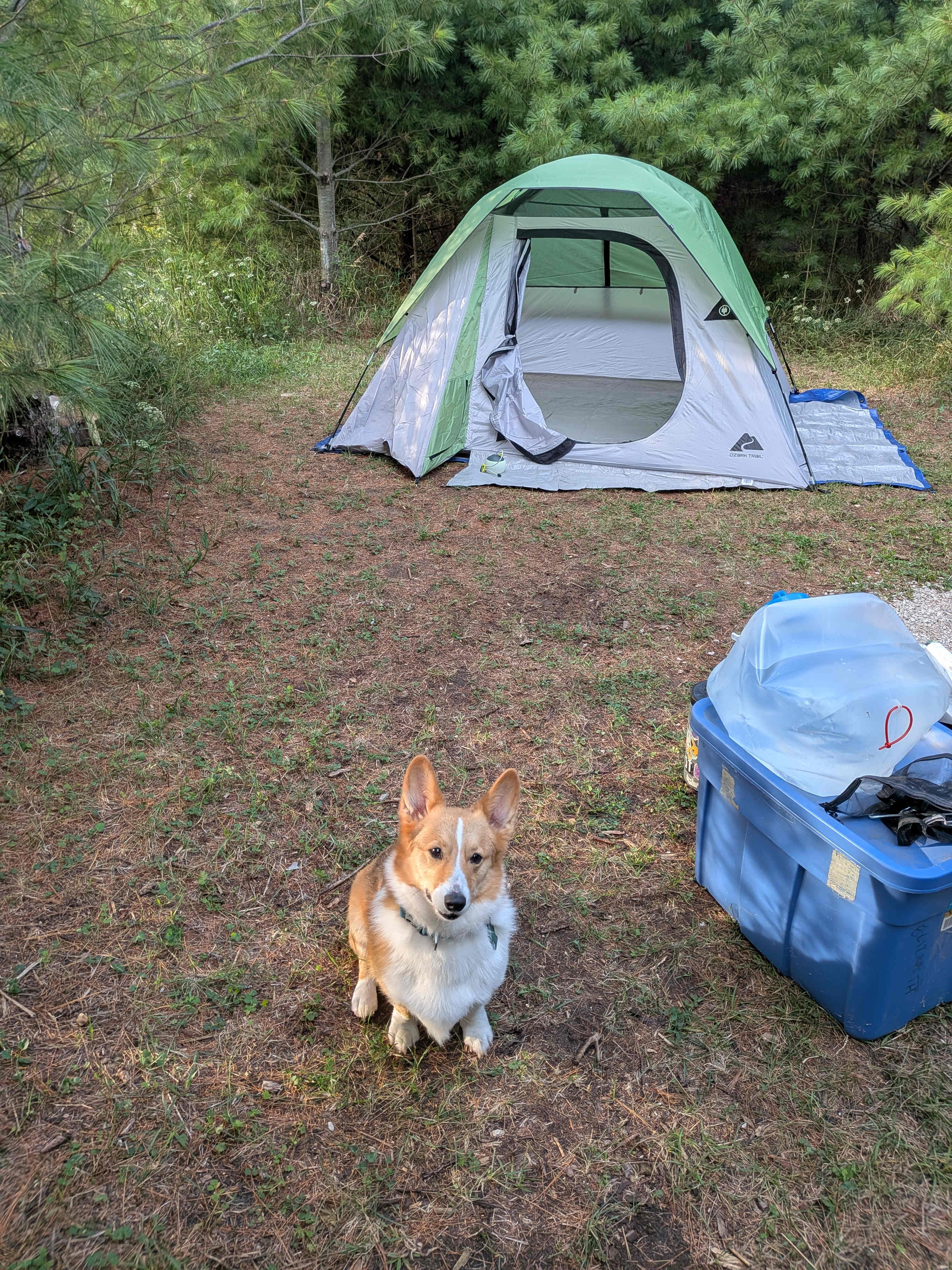 CAMP Door County