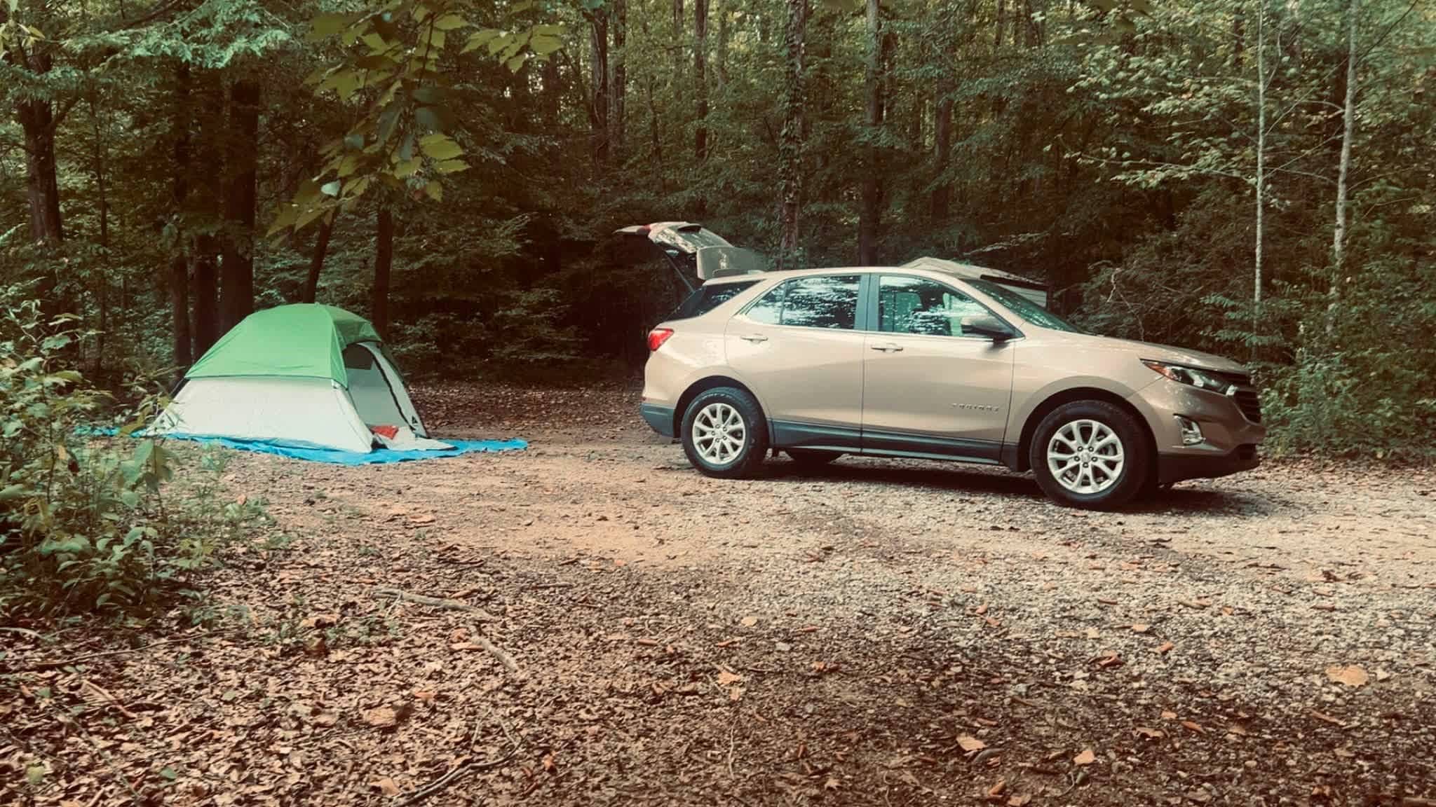 Camp Moondog
