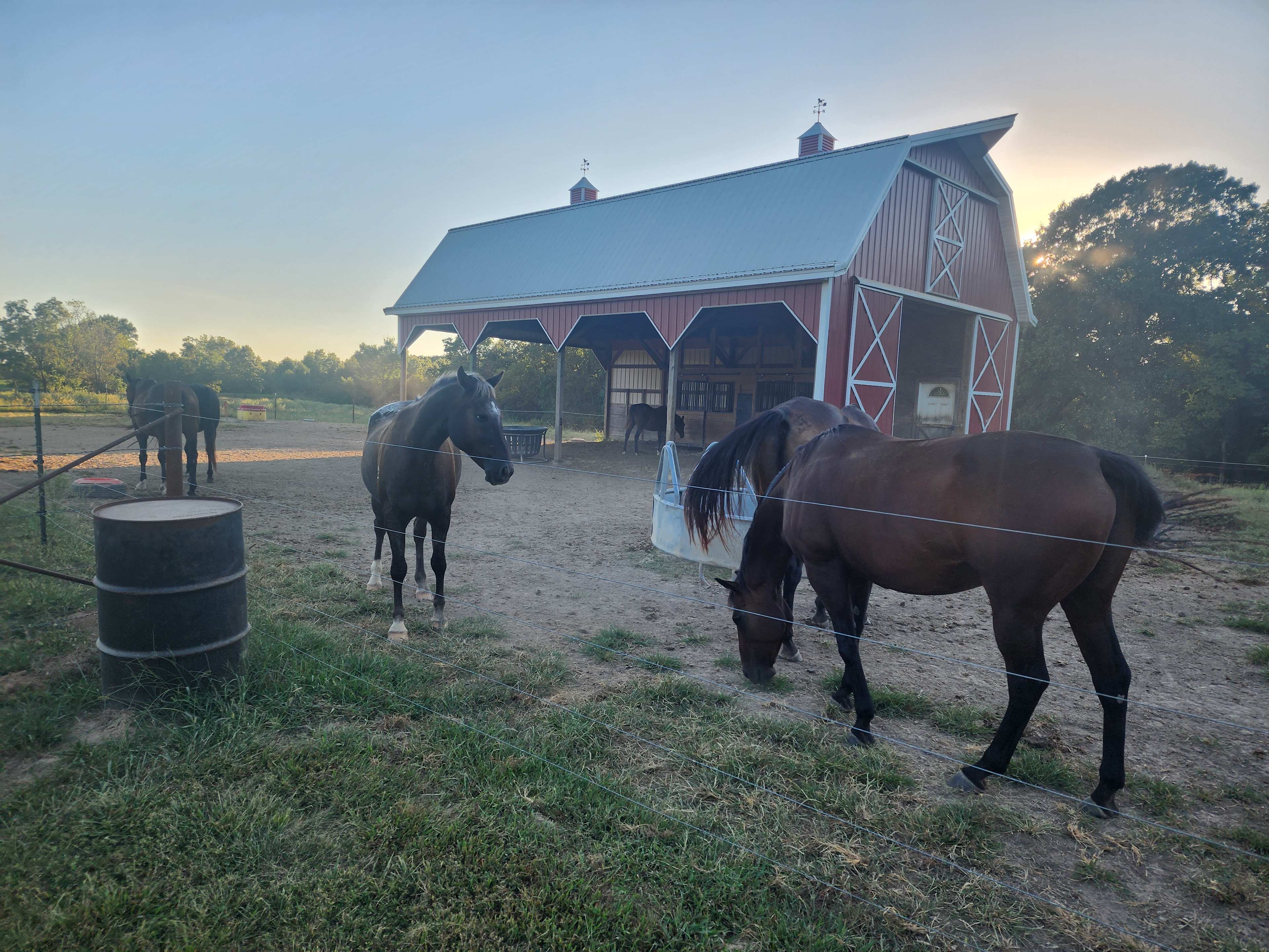 Selby Farm Camping