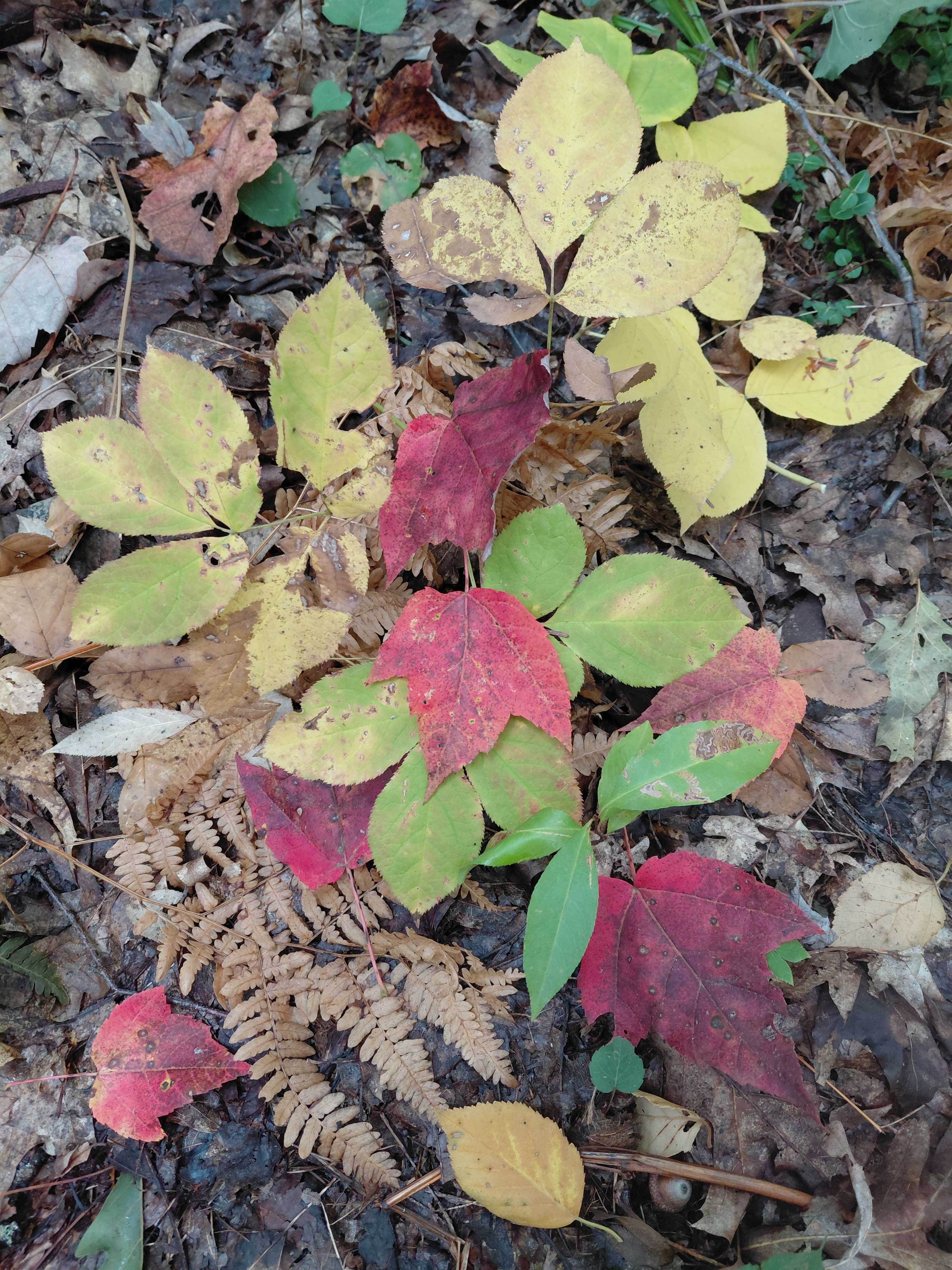 Fall is on the way! 