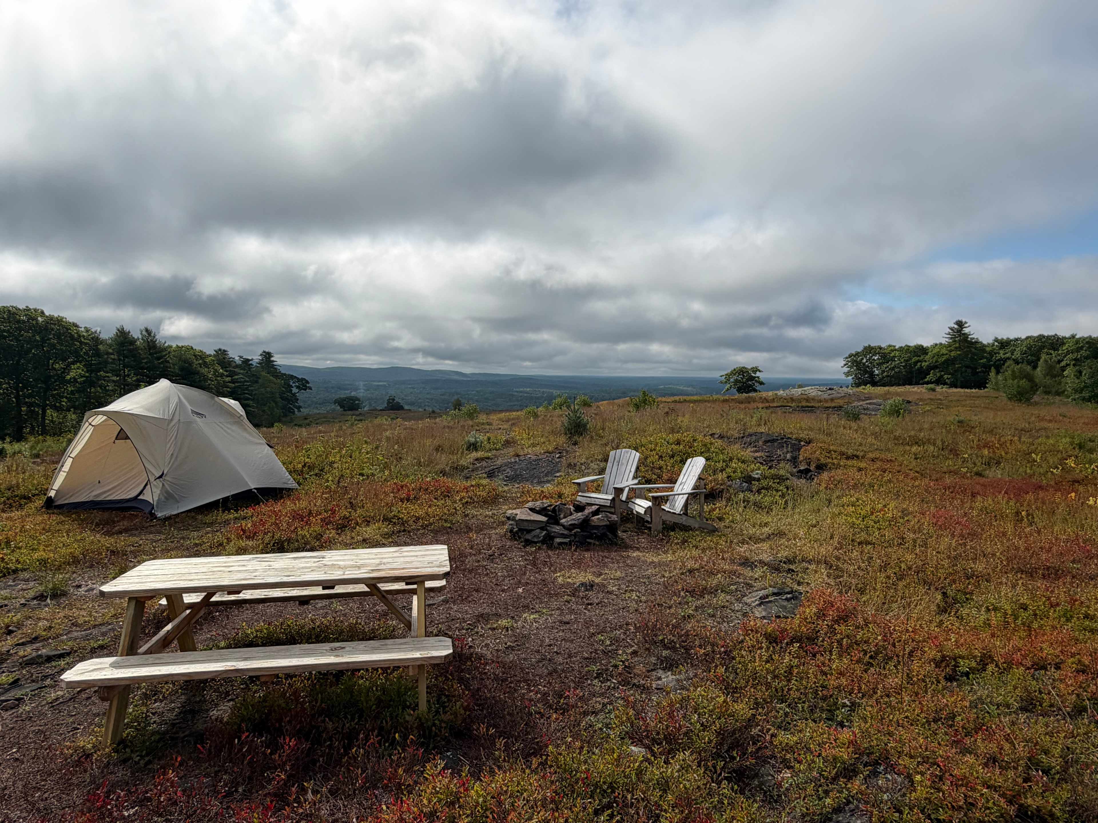 Tenting Among the Blueberries!