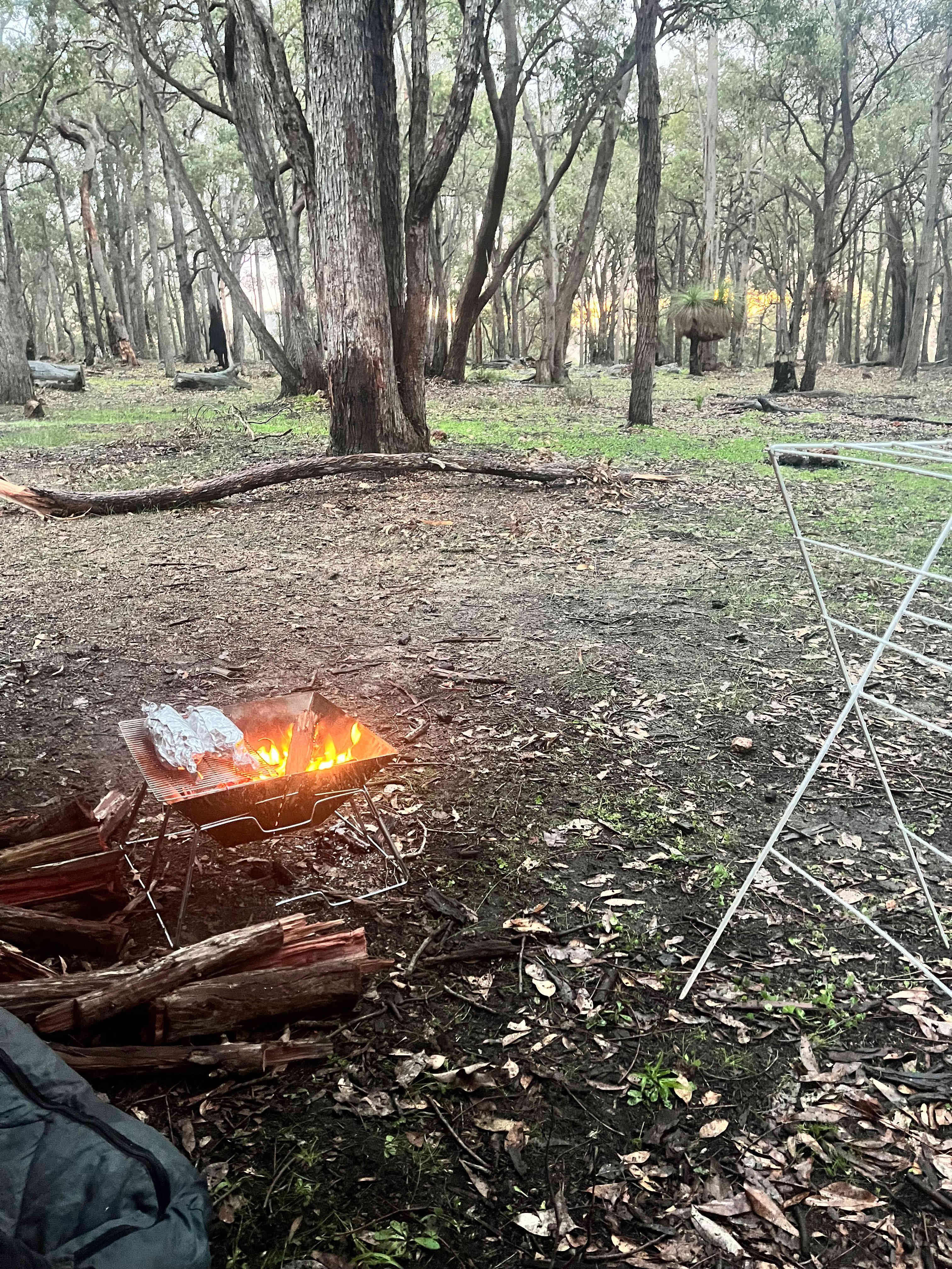 100-Acre Woods