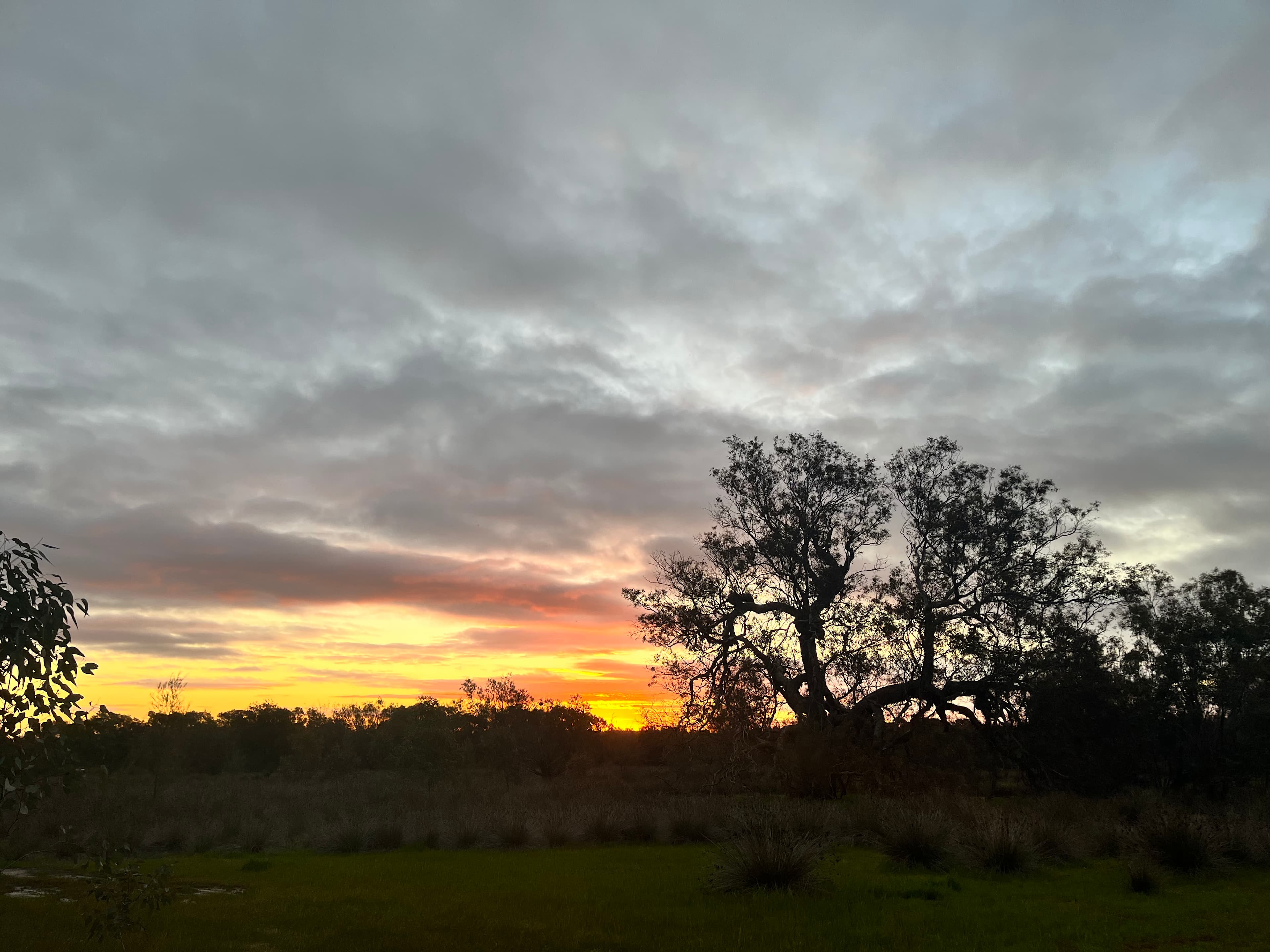 Dale Farm Camp