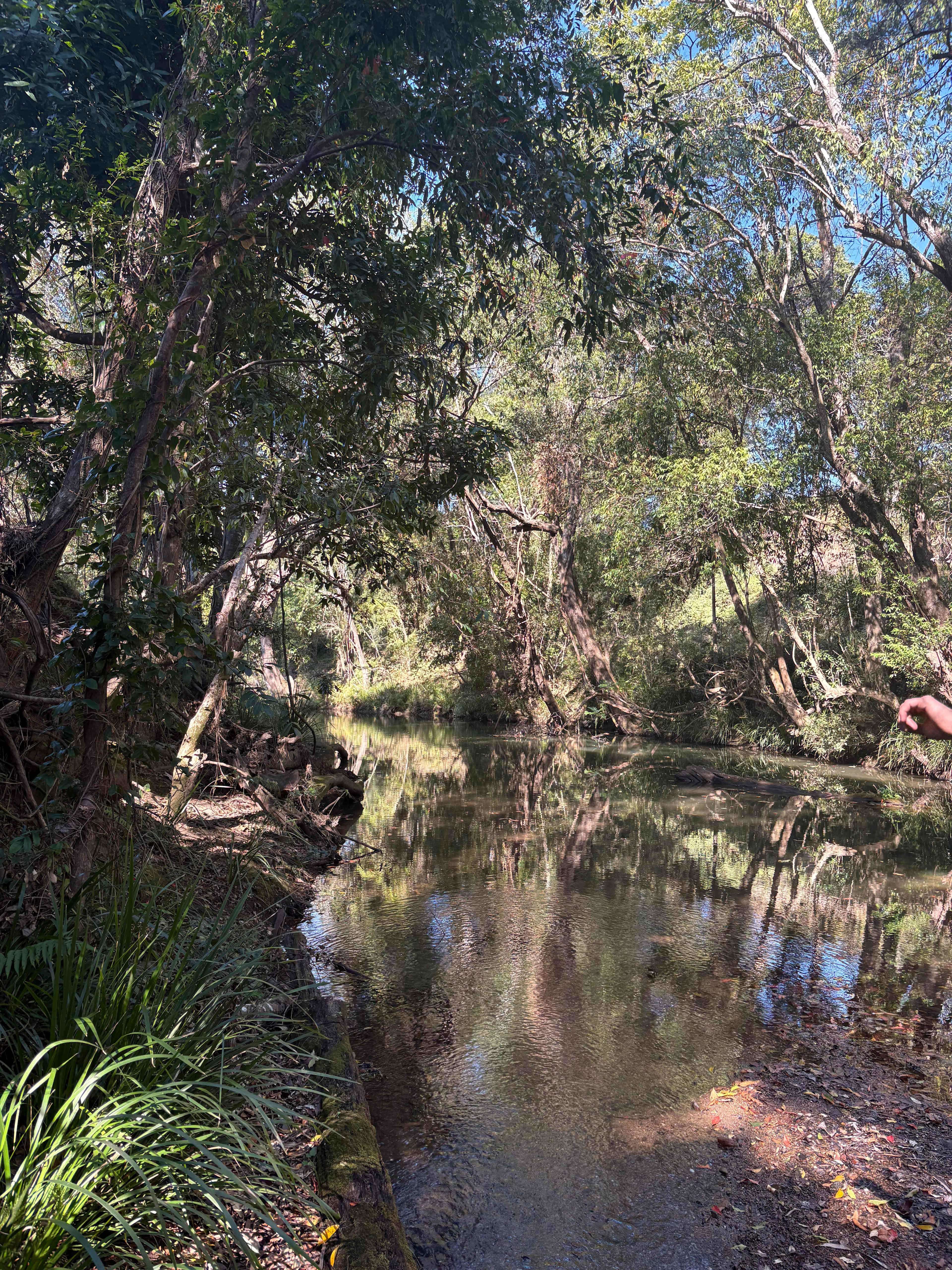 Amamoor Creek Camping Retreat