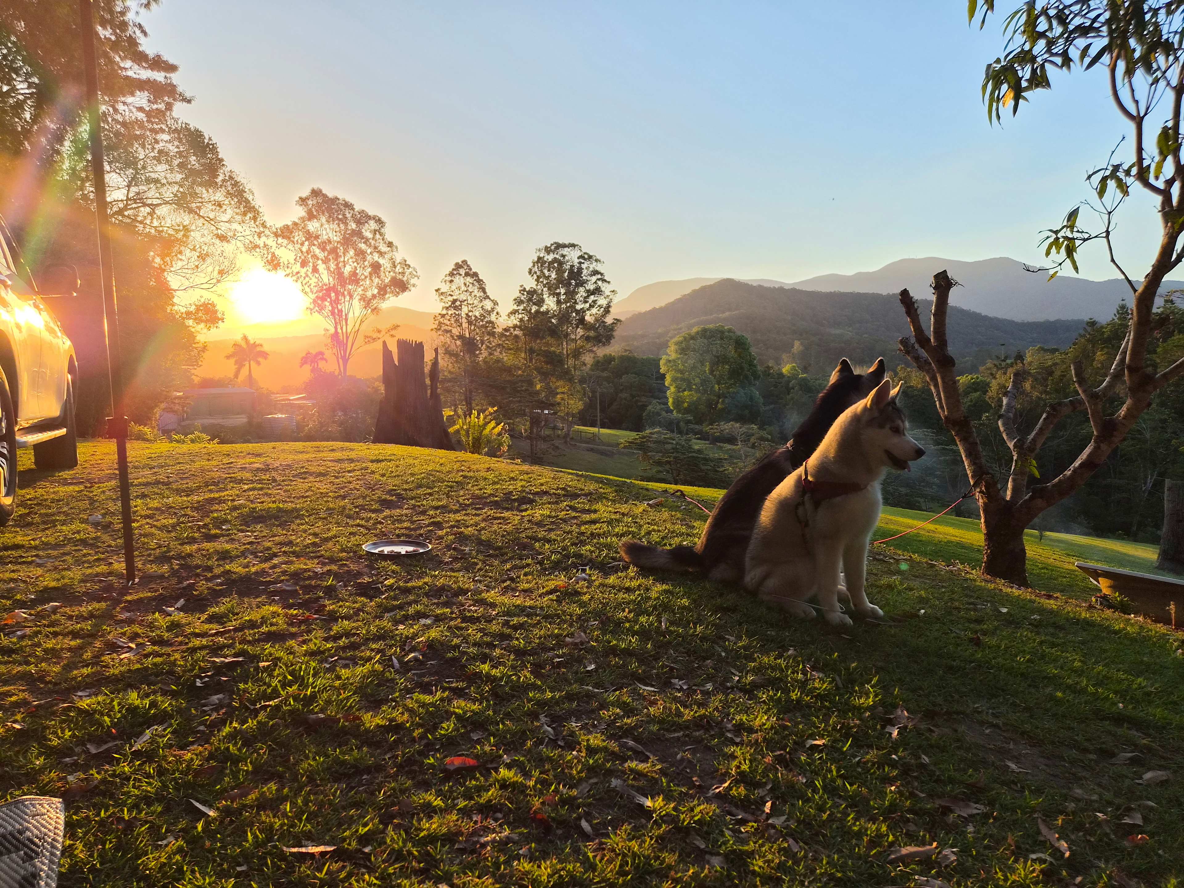 Sarah’s Farm🕊️ 4wd