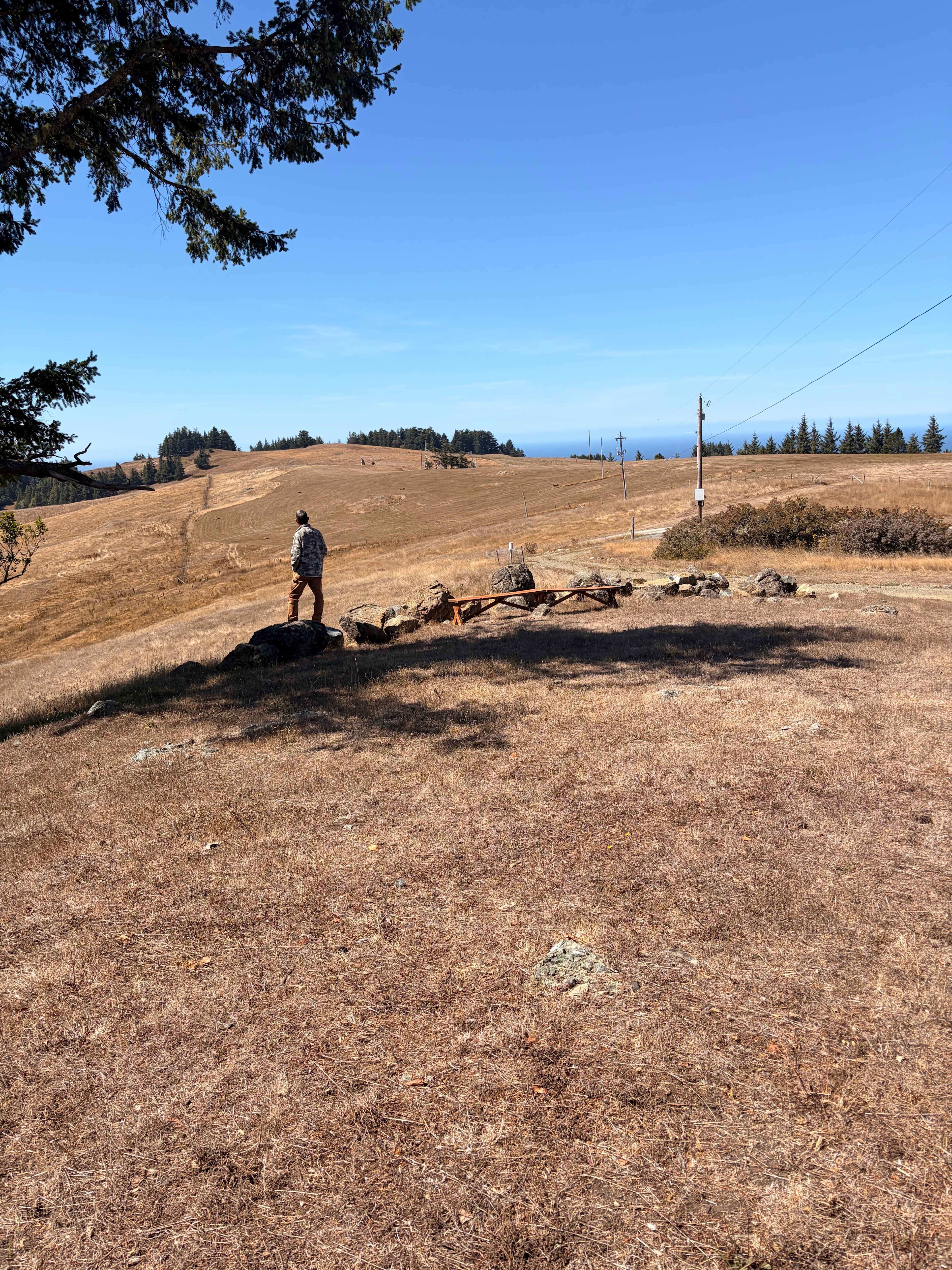 Pacific Pastures