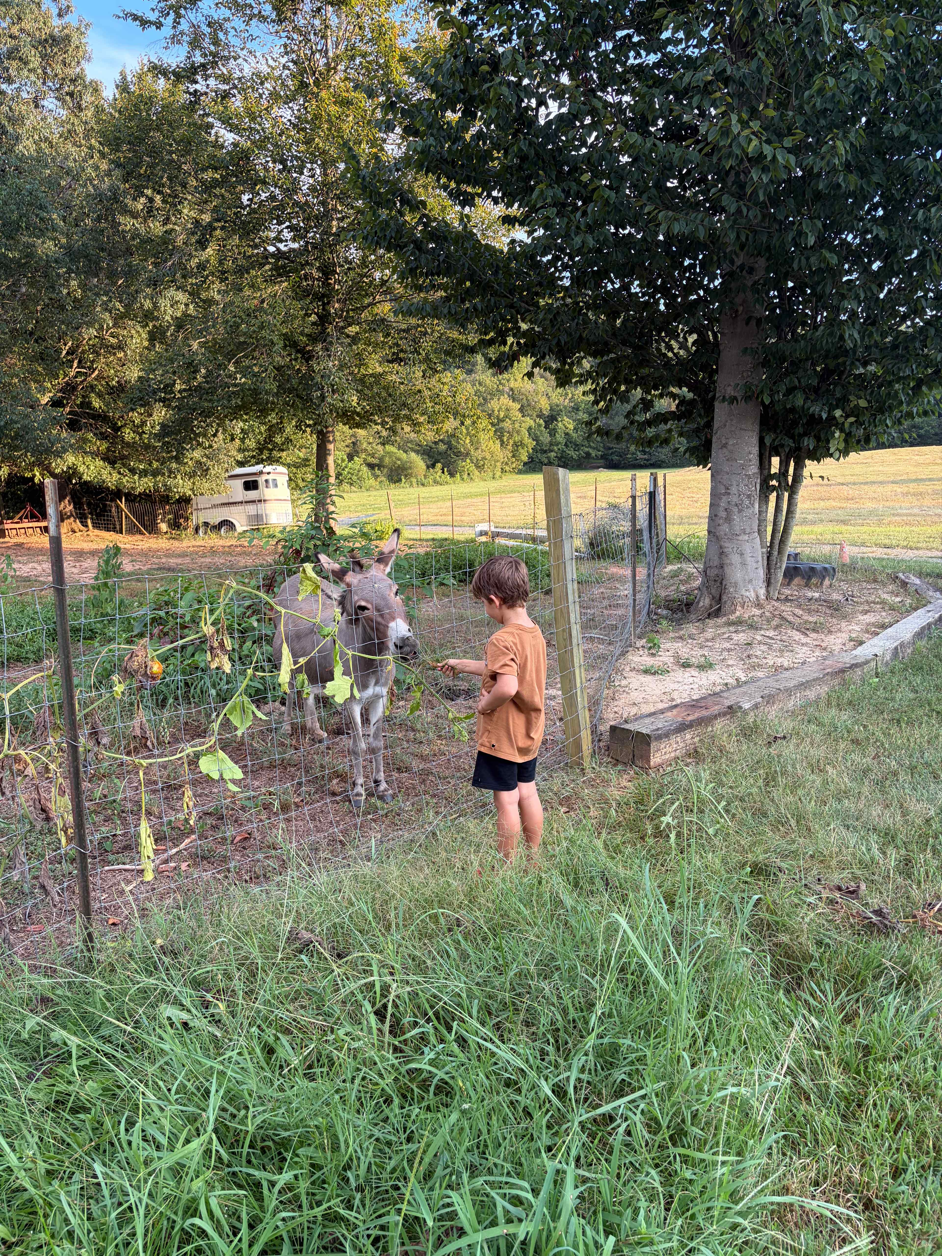 The Oasis at Harmon Creek Farms