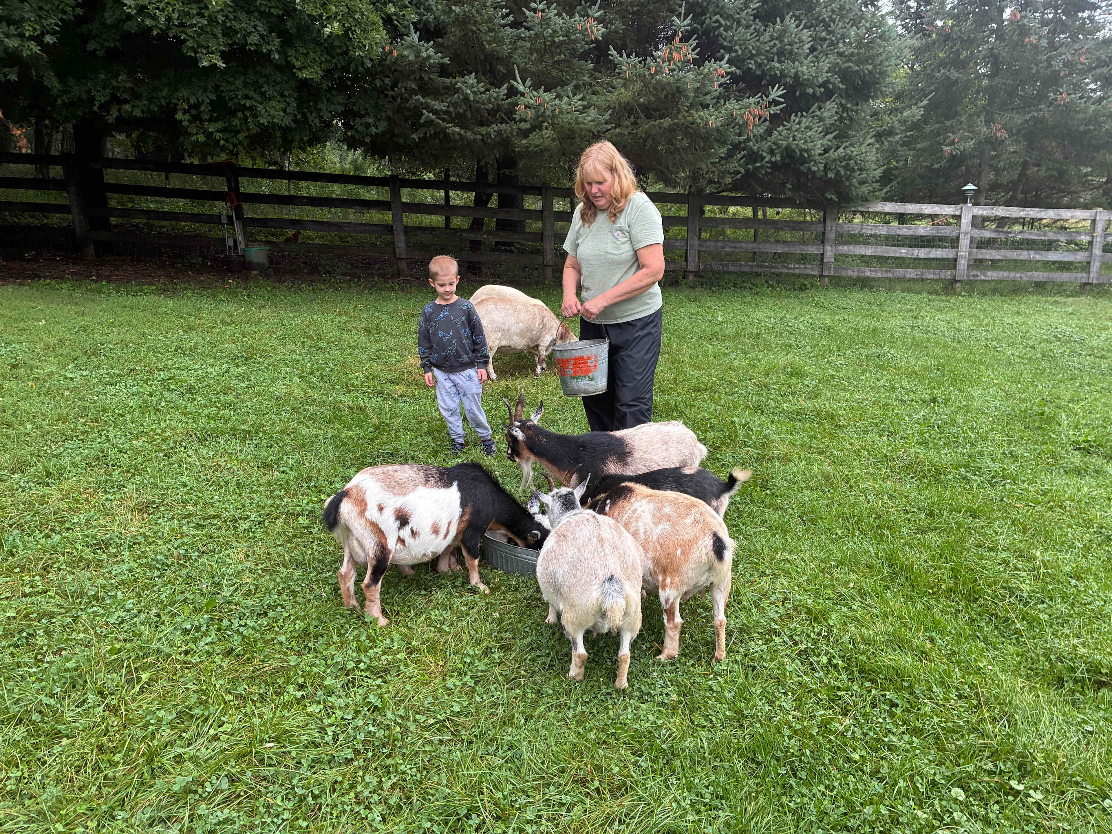 Paradise Farm